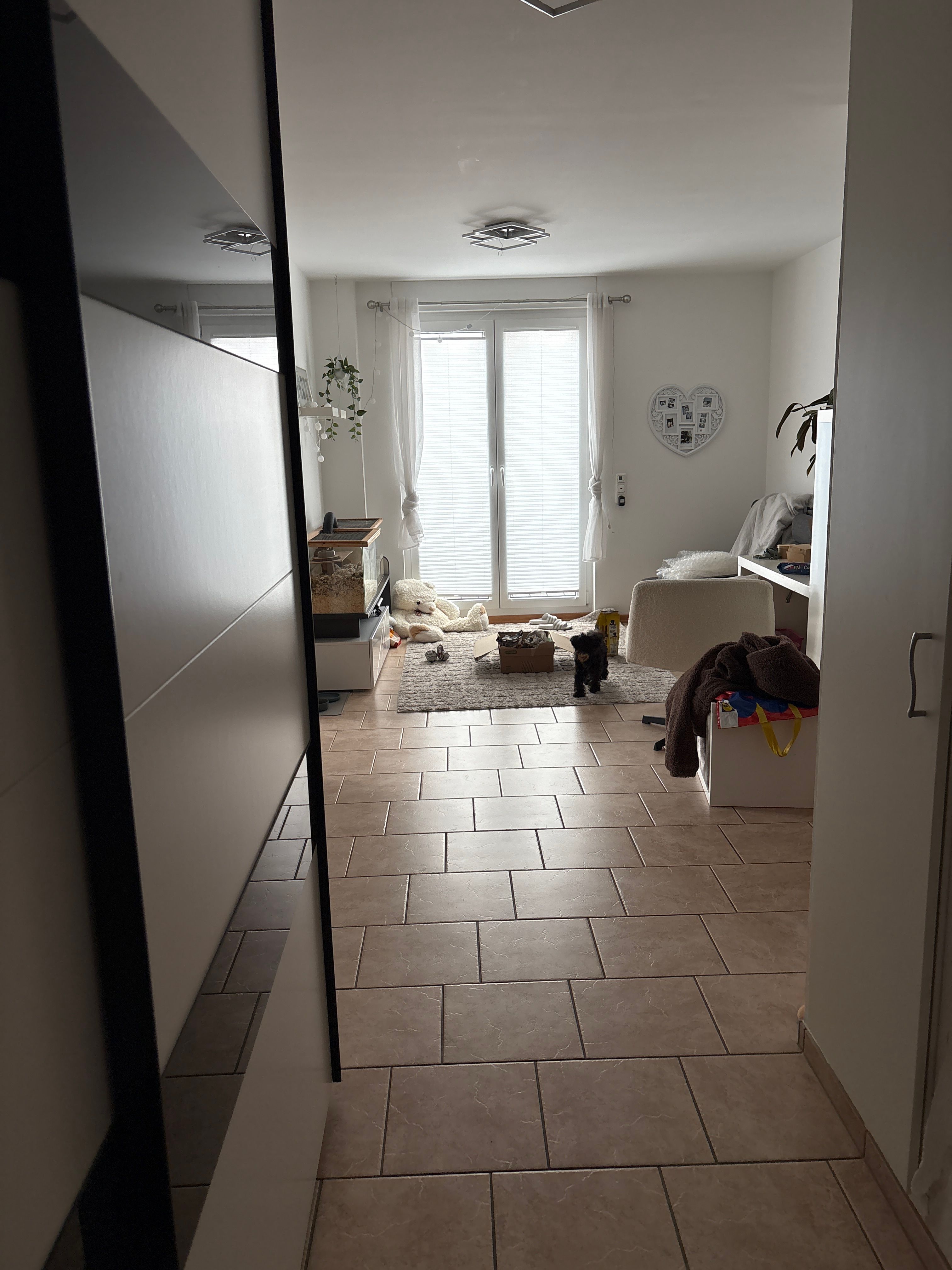 image-14