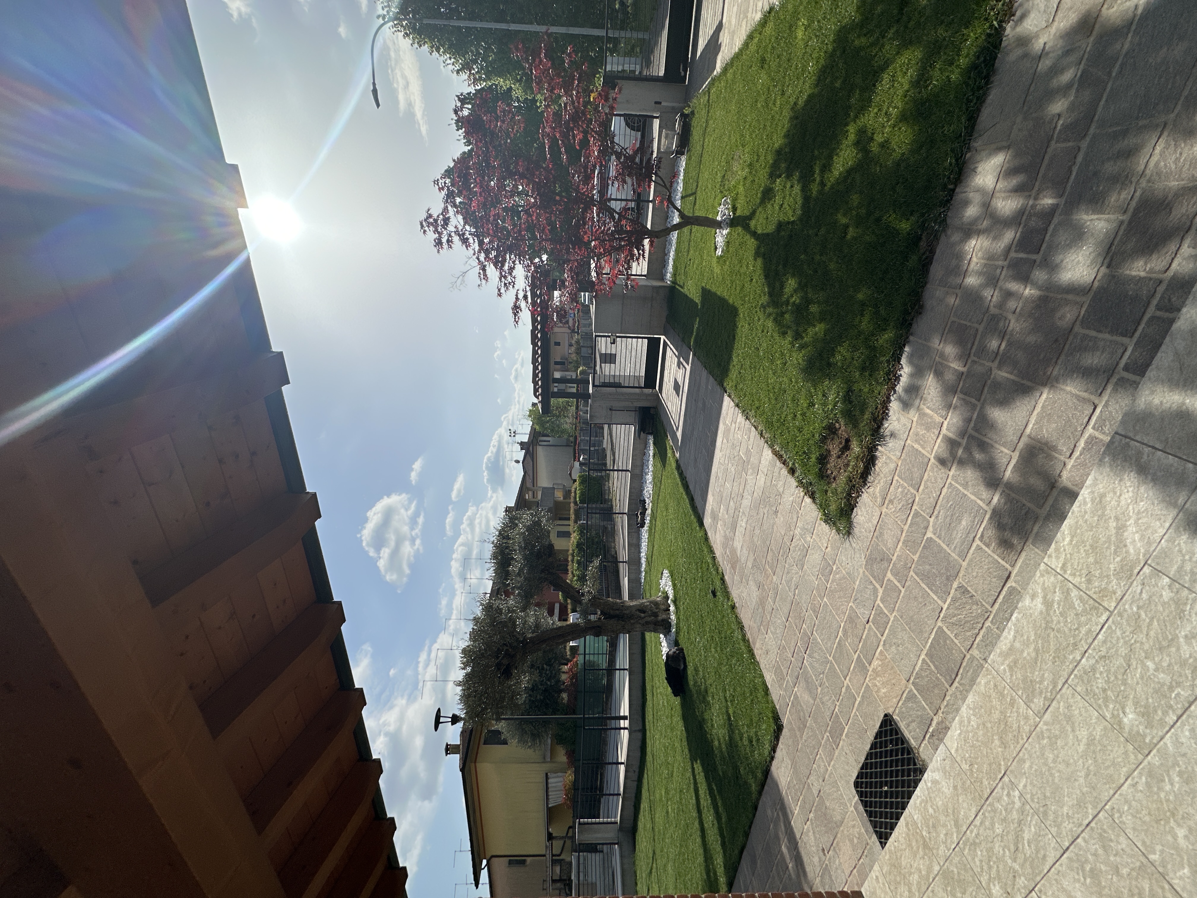 image-14