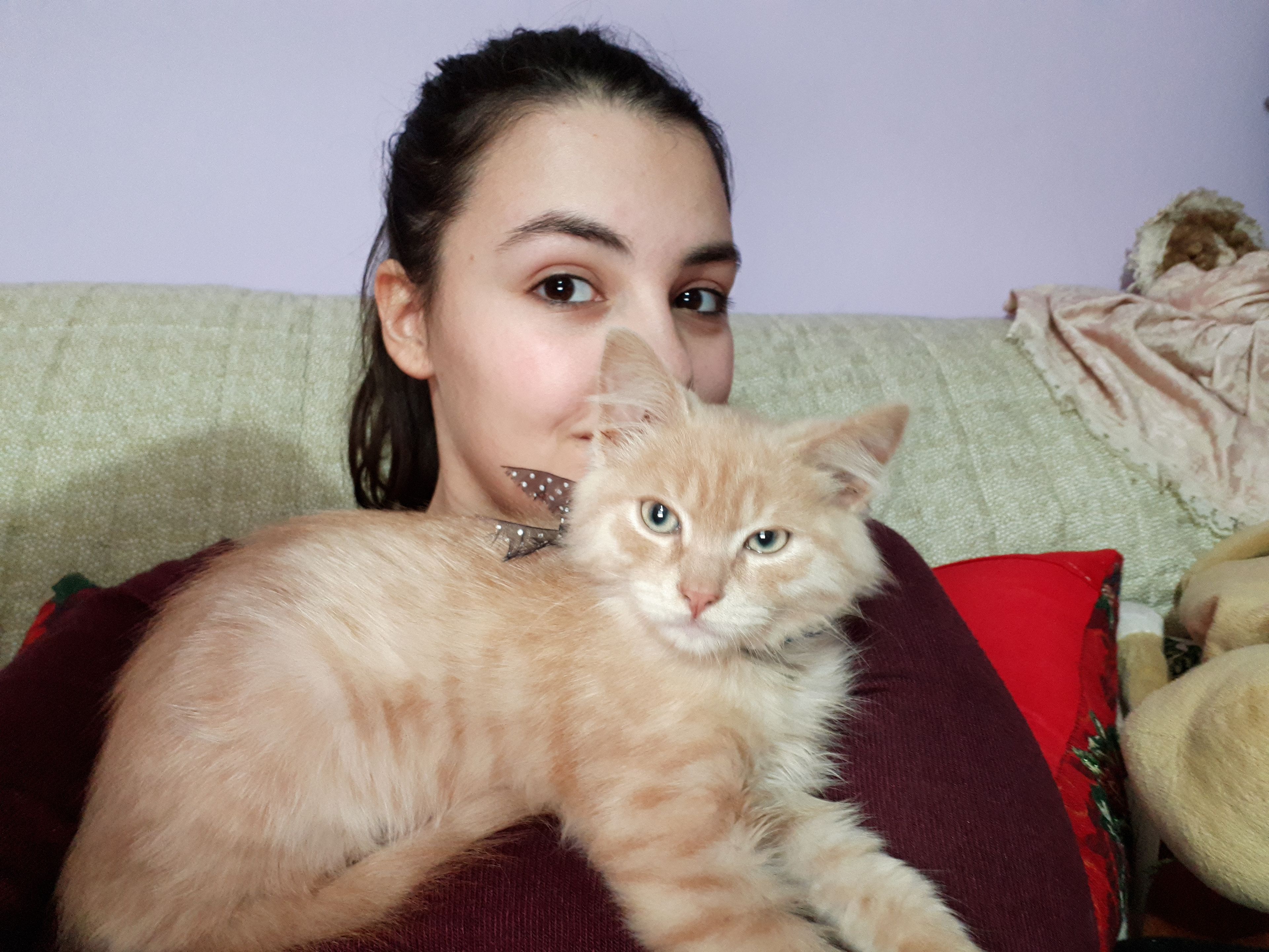 image-8