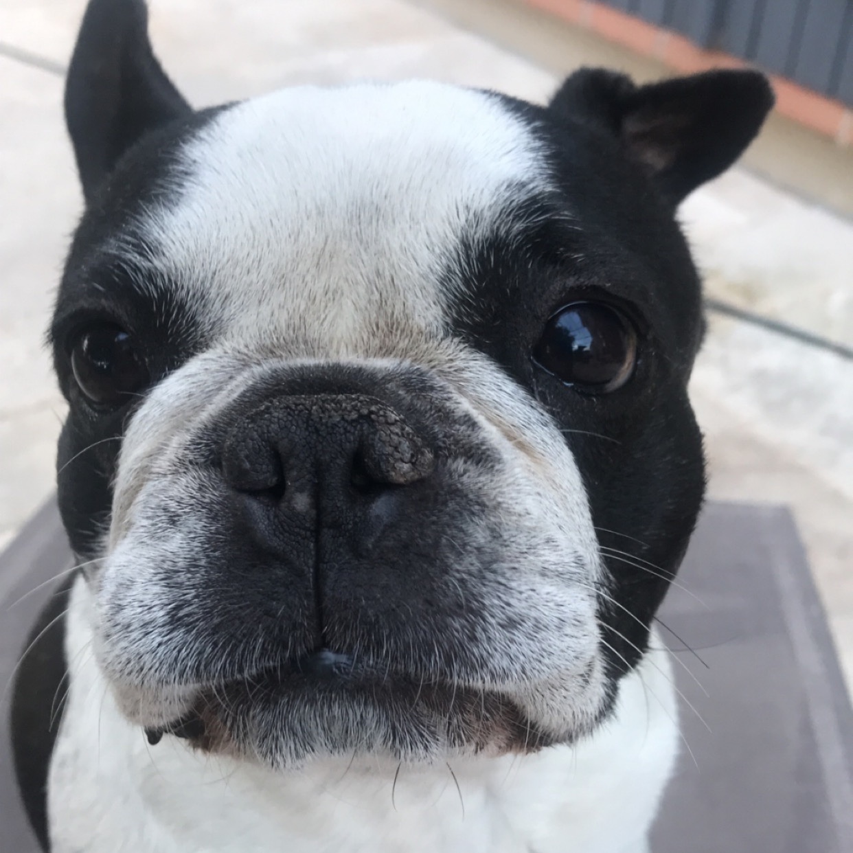 Suzie 