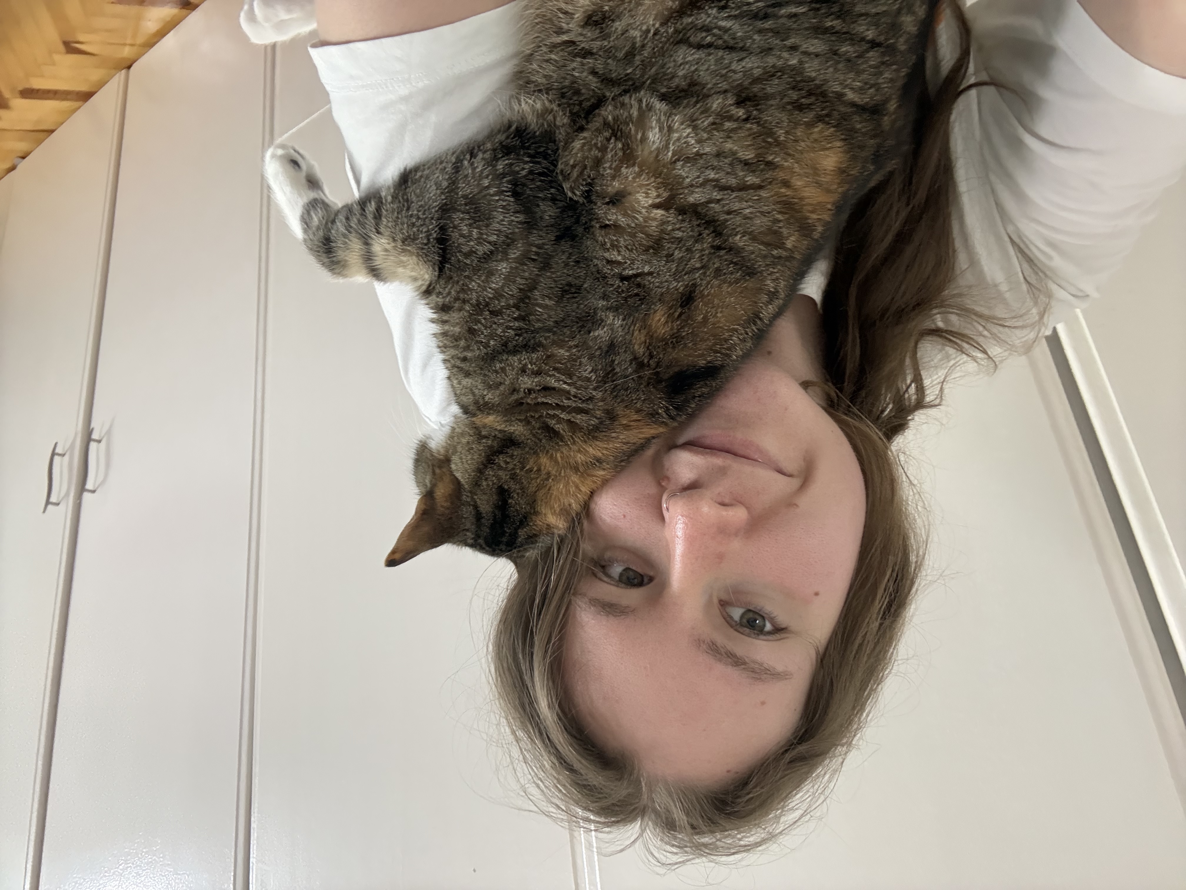 image-8
