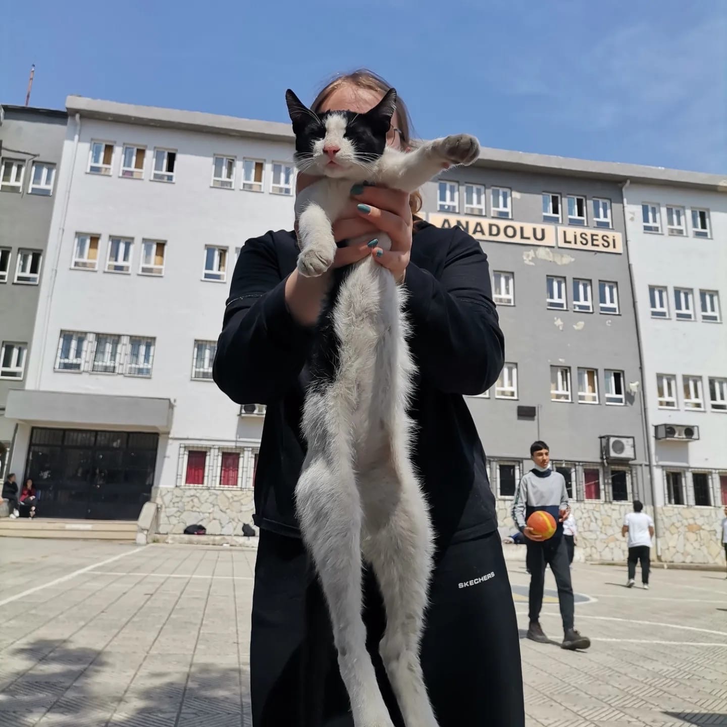 image-10