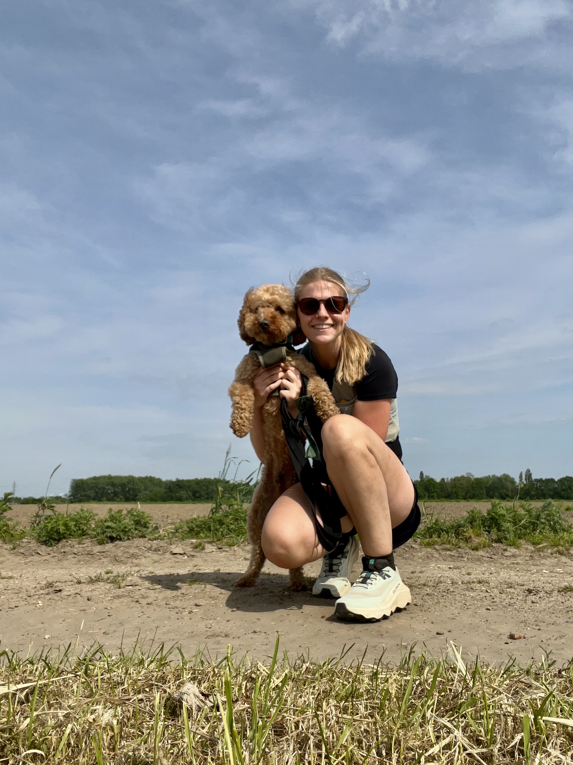 image-7