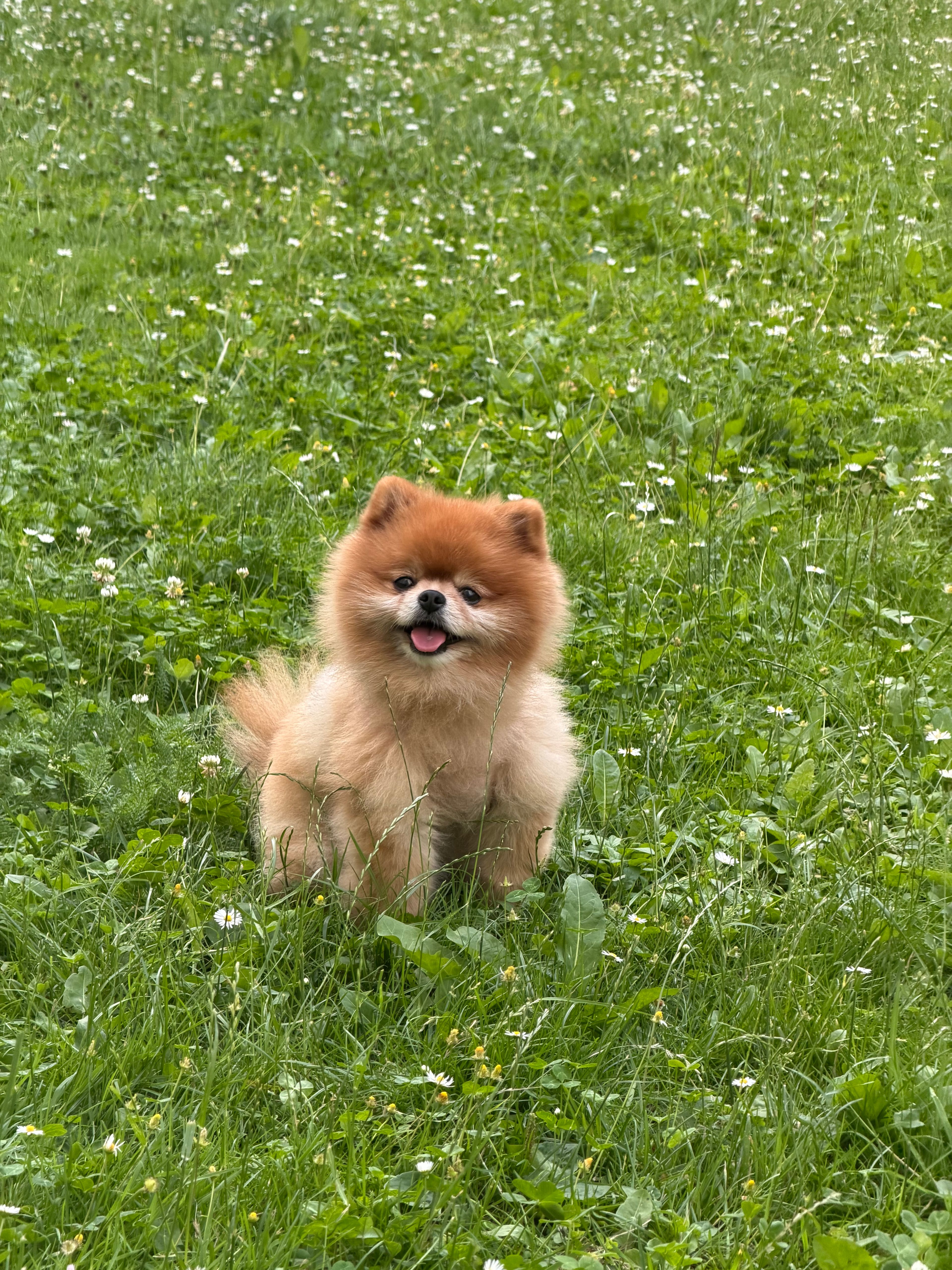 image-4
