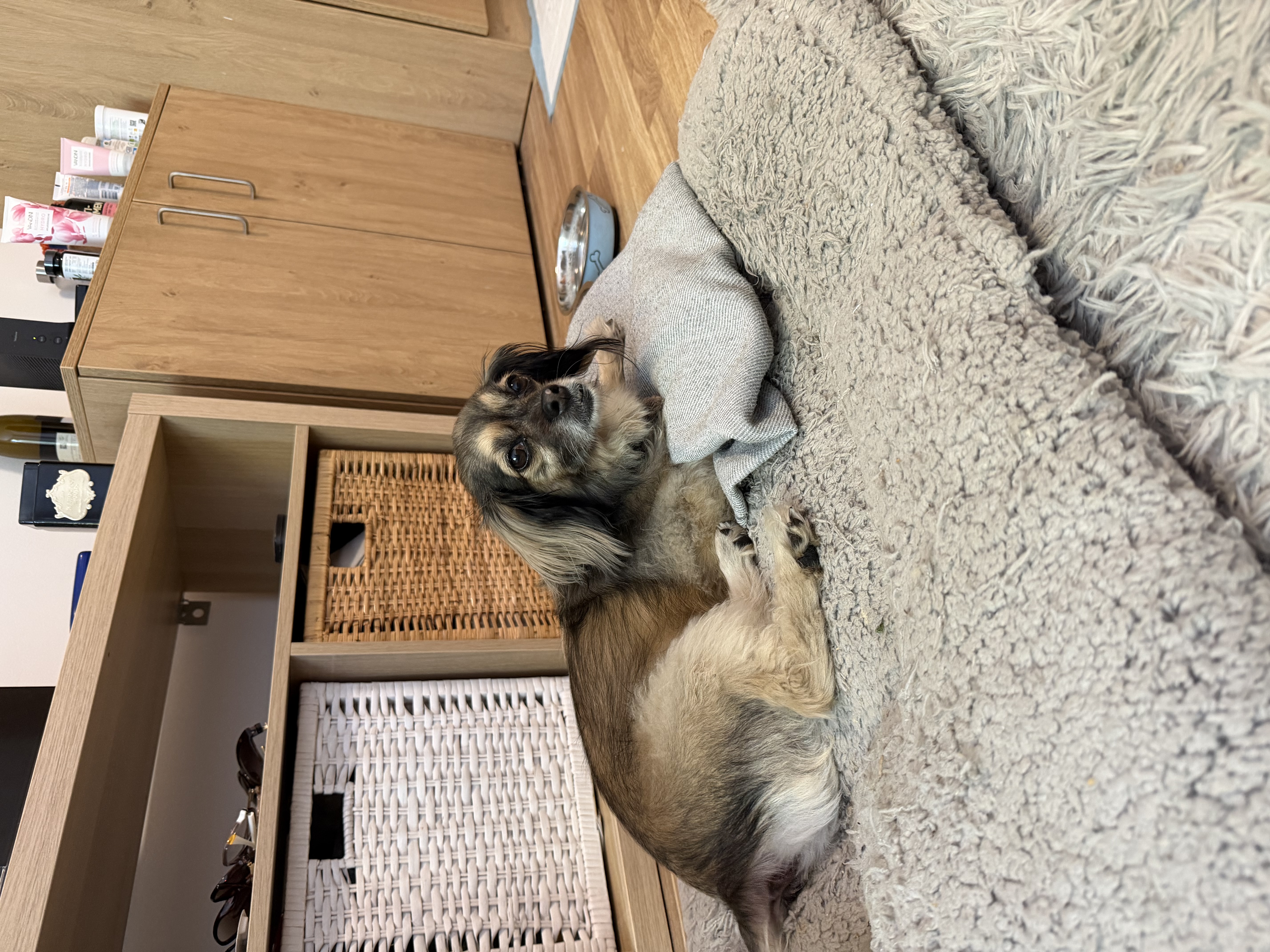 image-13