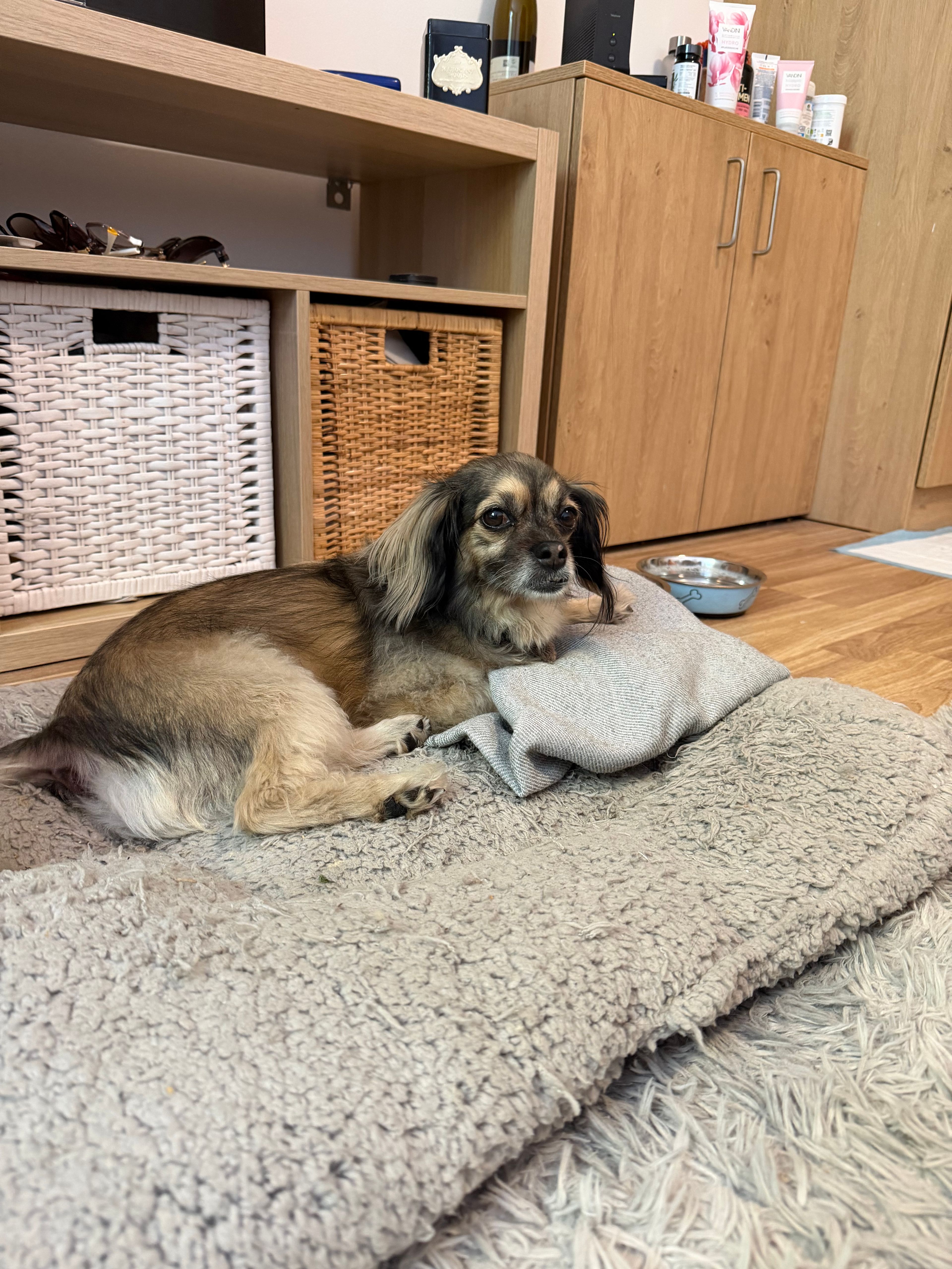 image-13