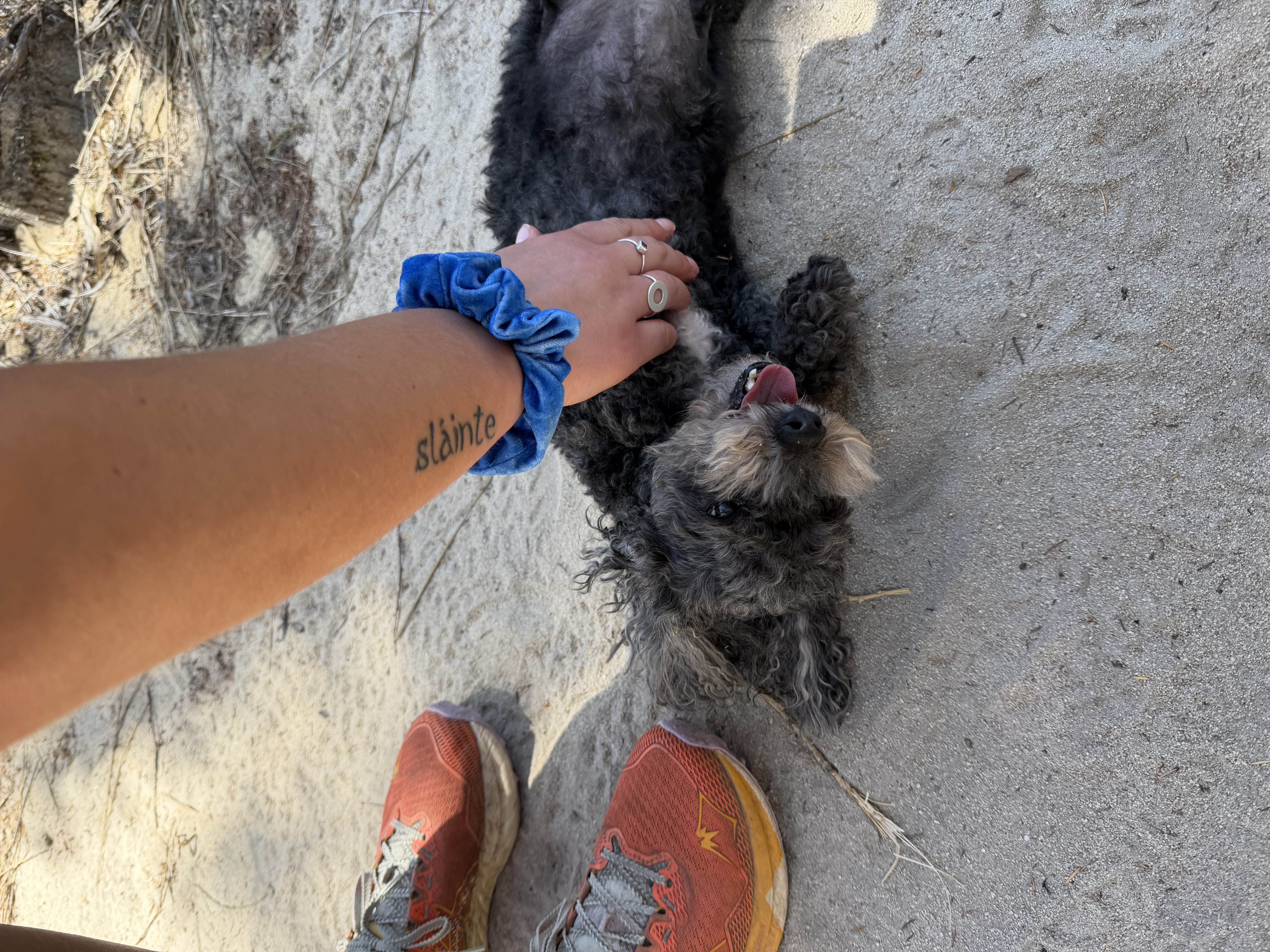 image-6