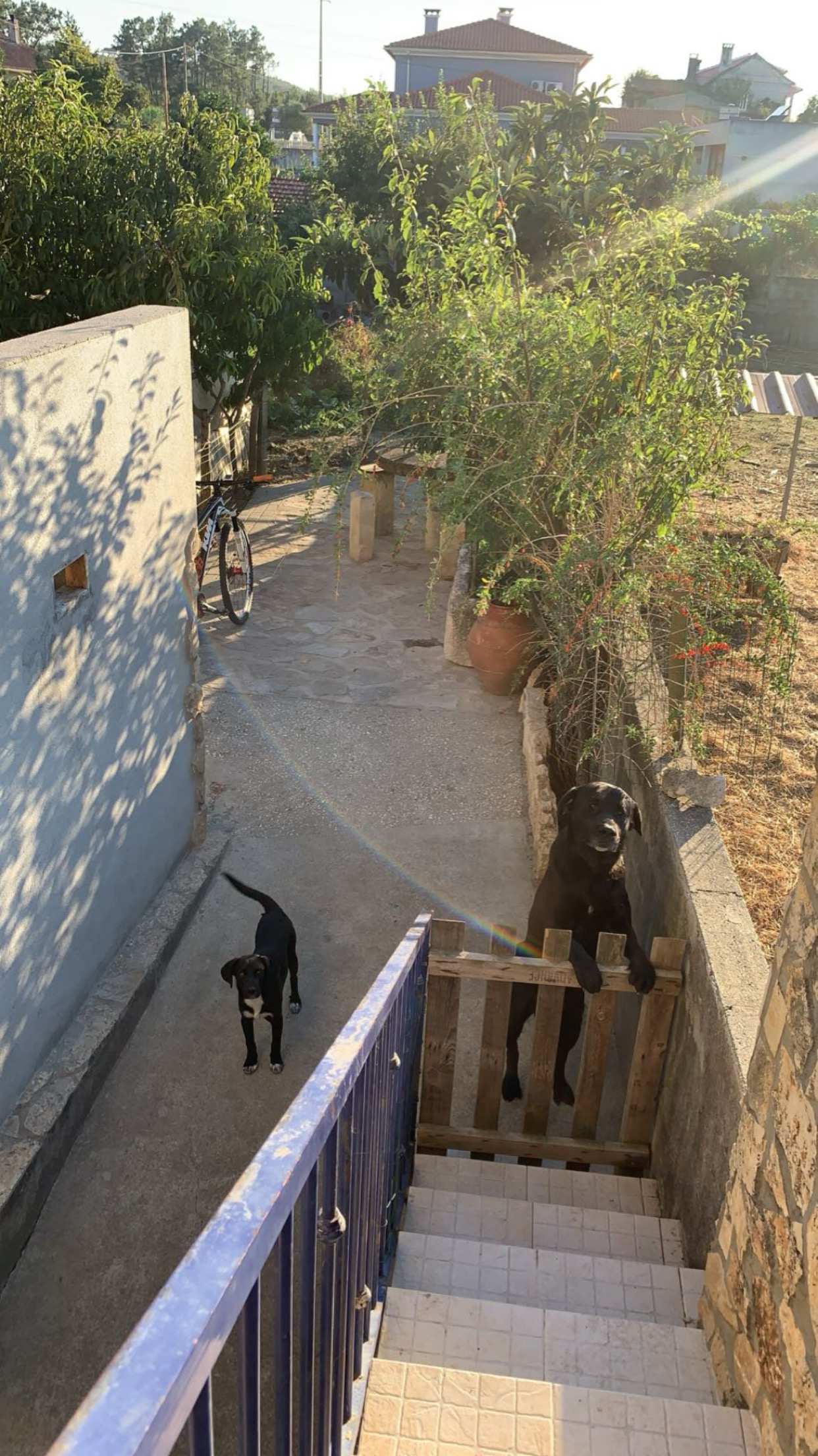 image-4