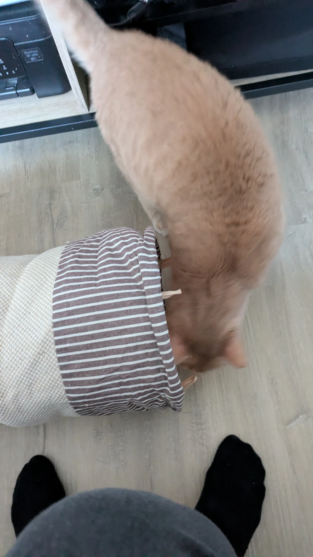 image-8