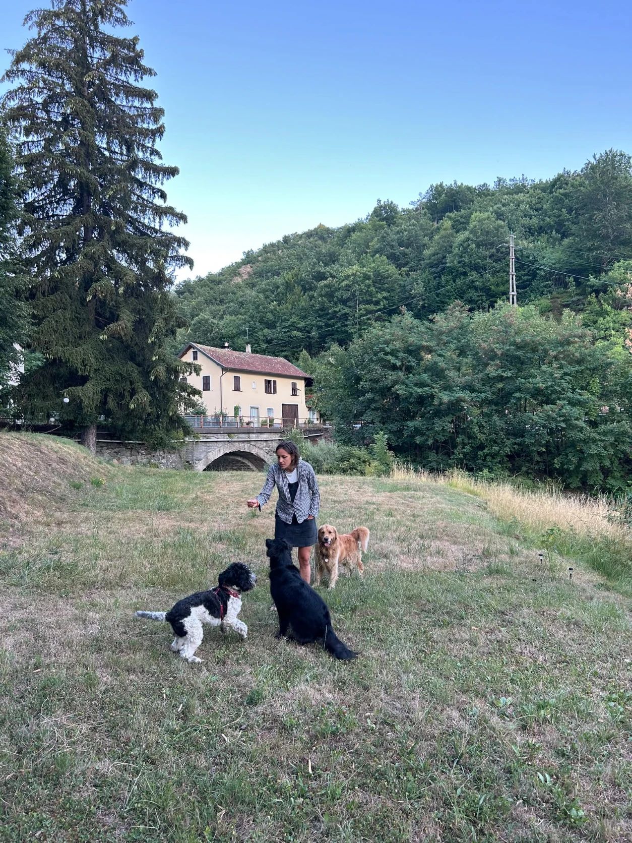 image-2