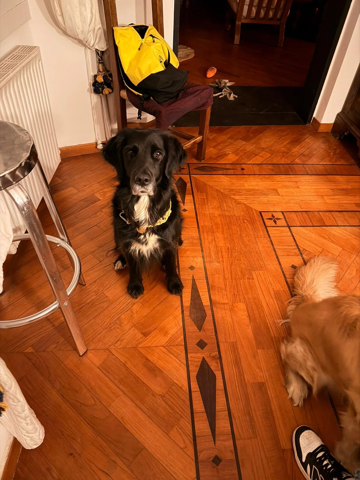 image-9
