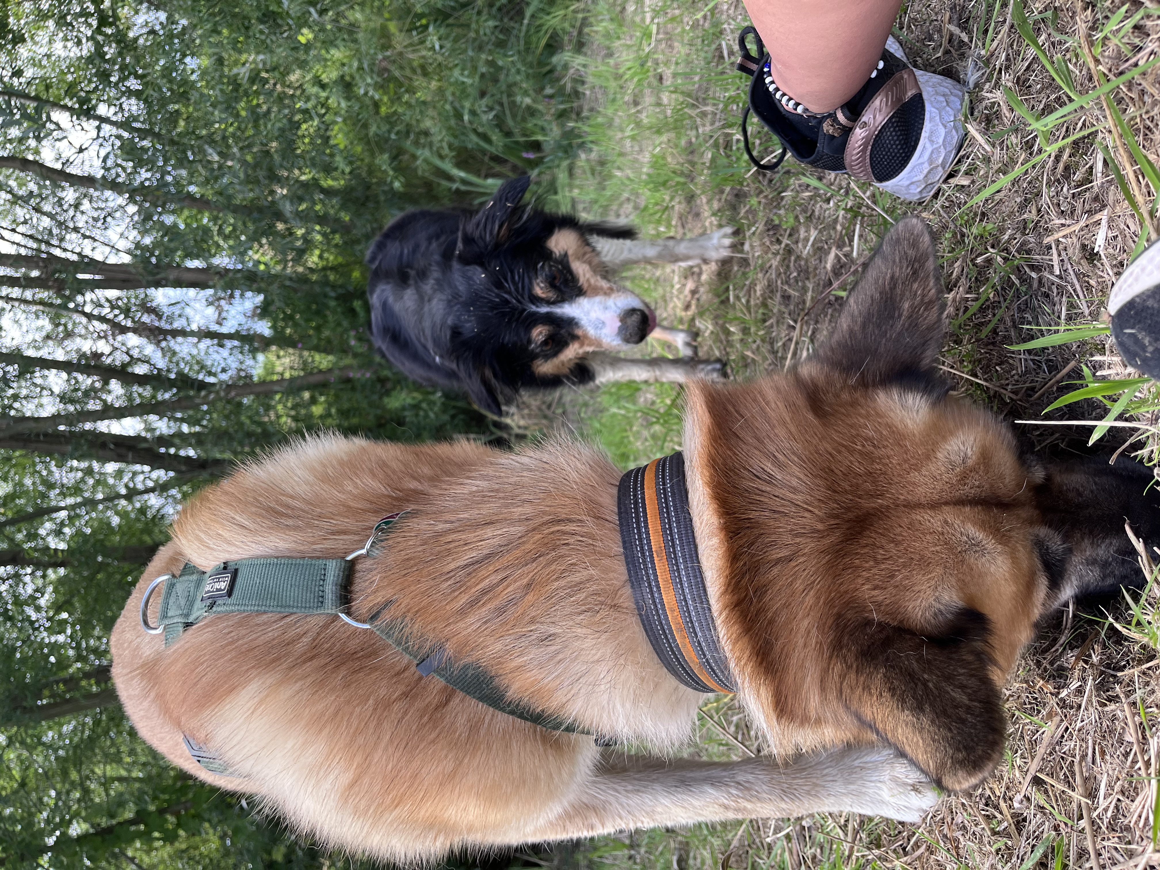 image-14