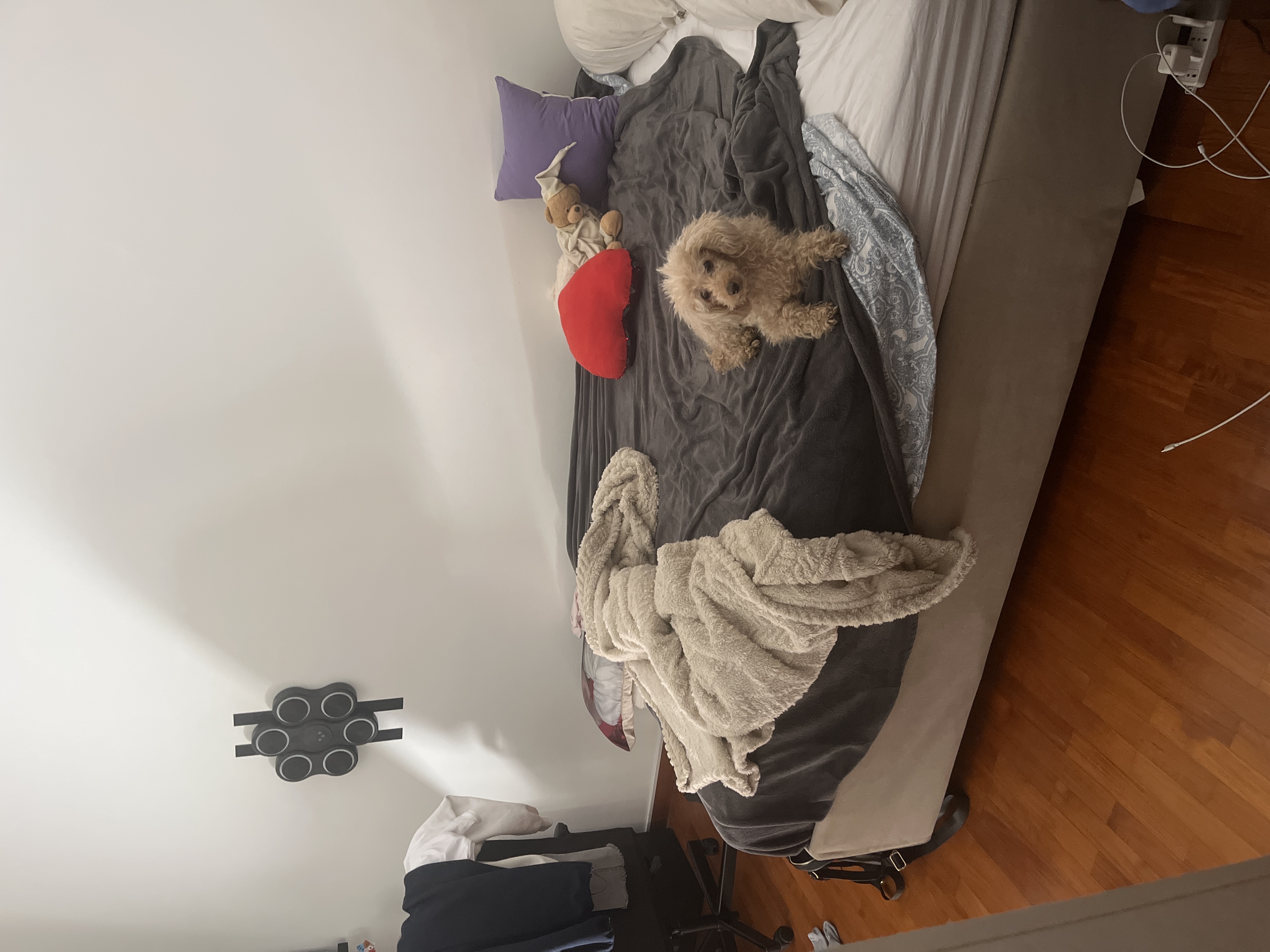 image-19