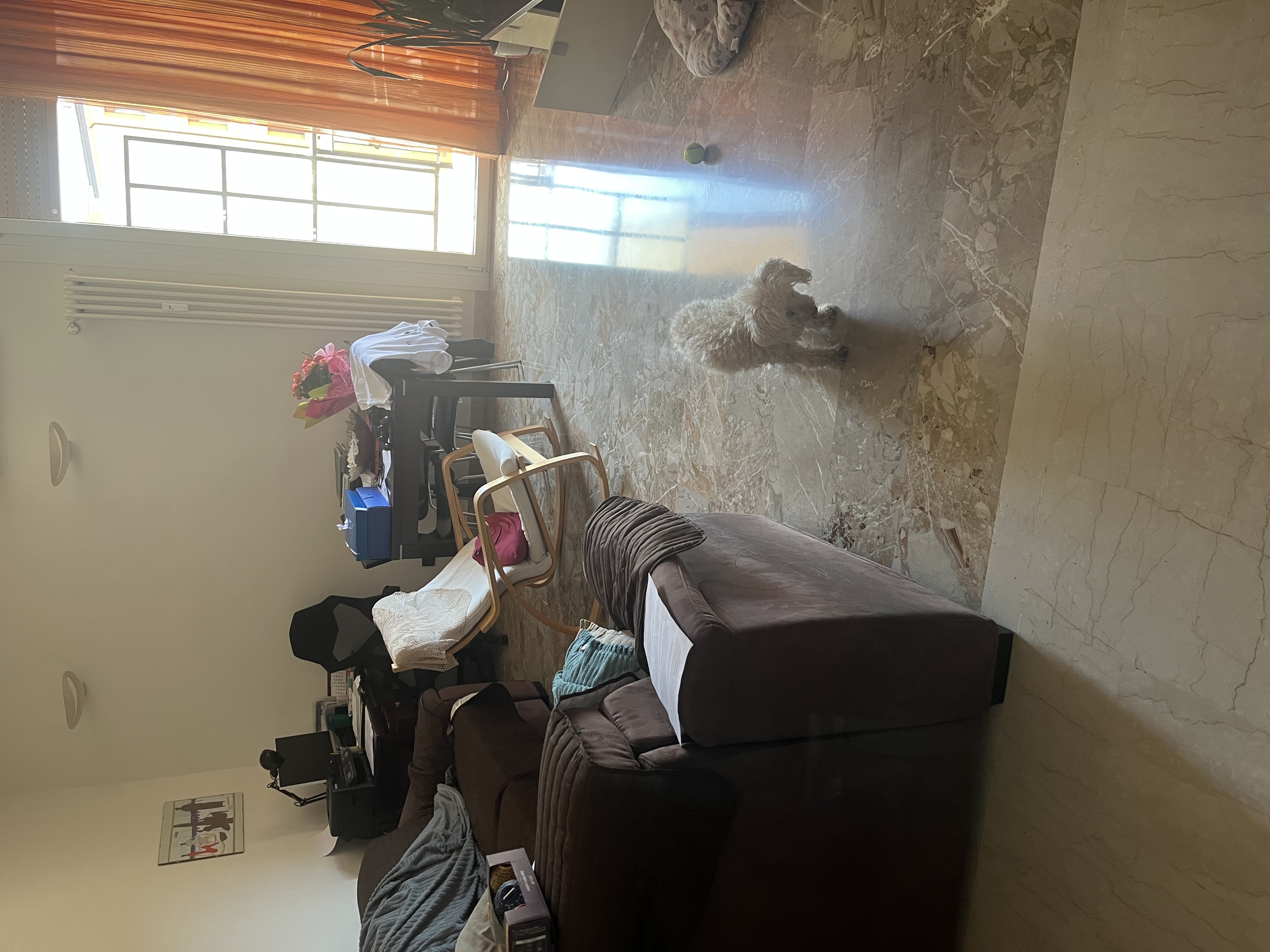 image-18