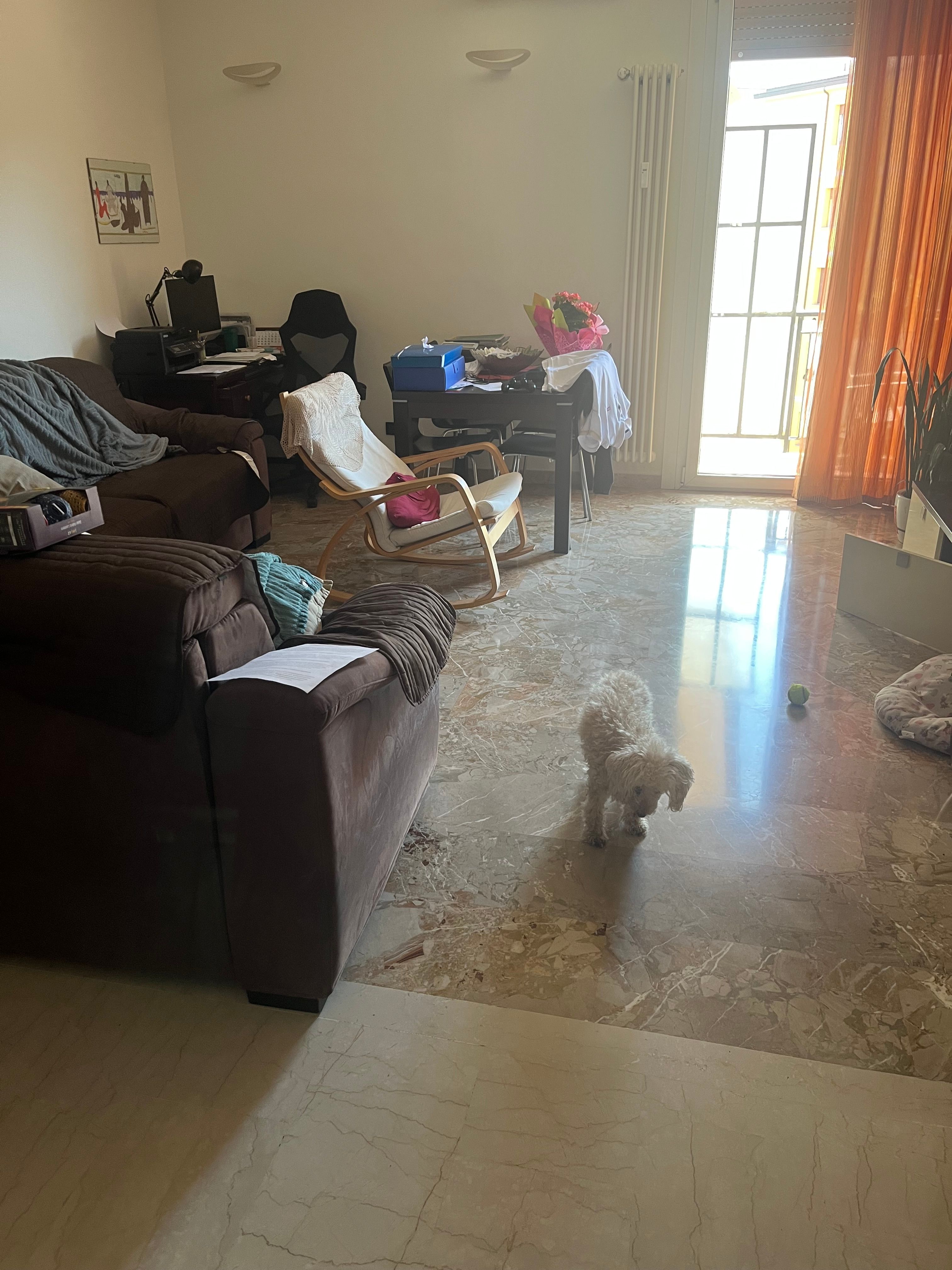 image-18
