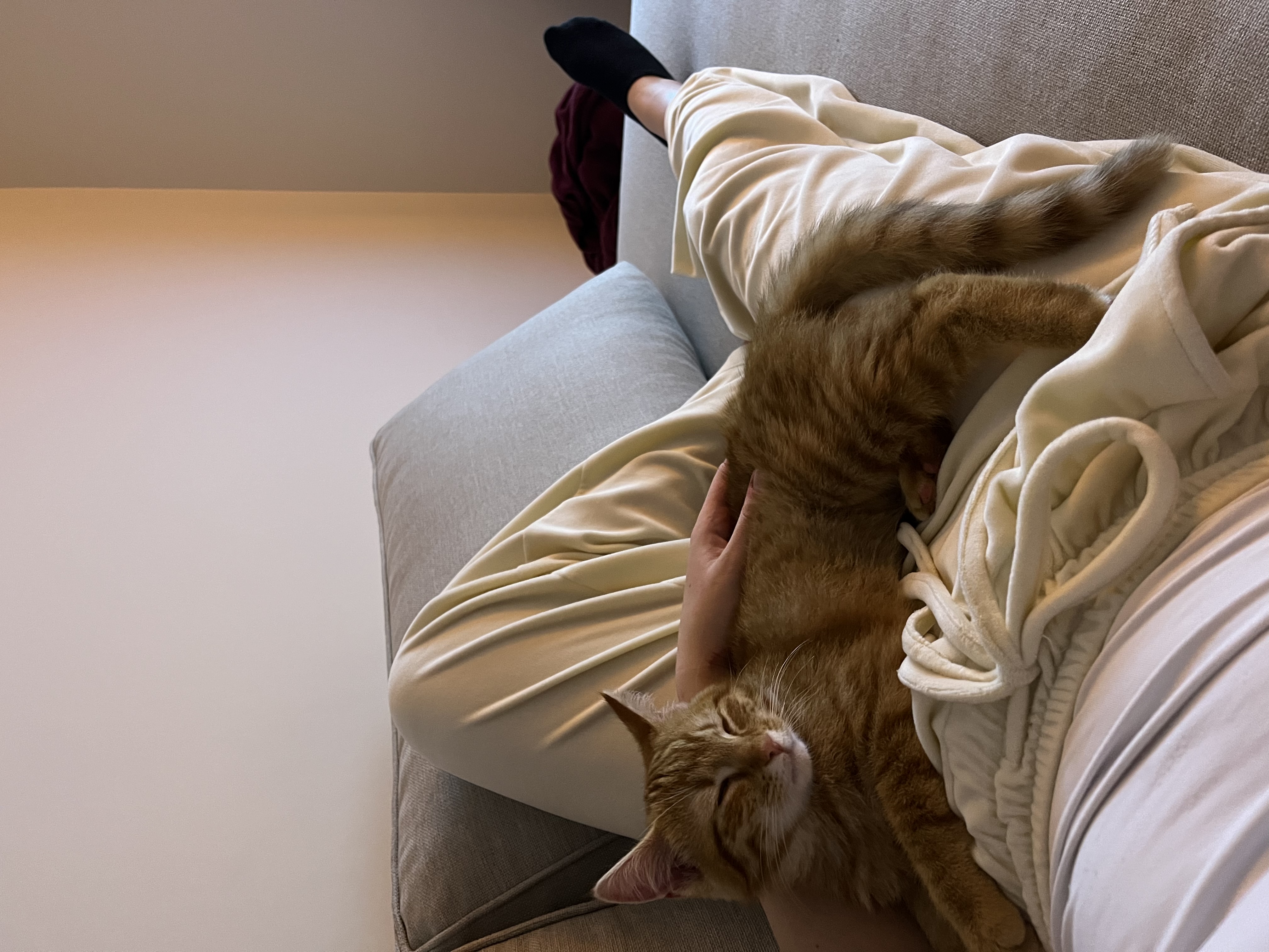 image-8
