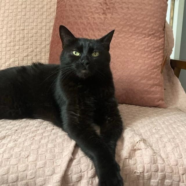 Jenny