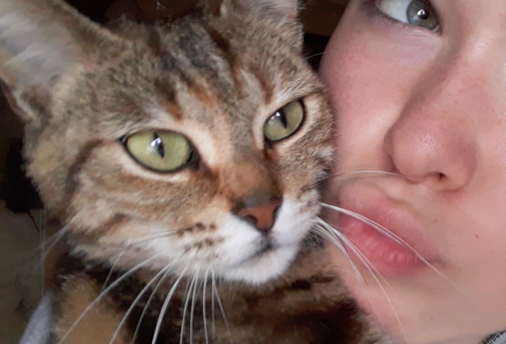 image-5