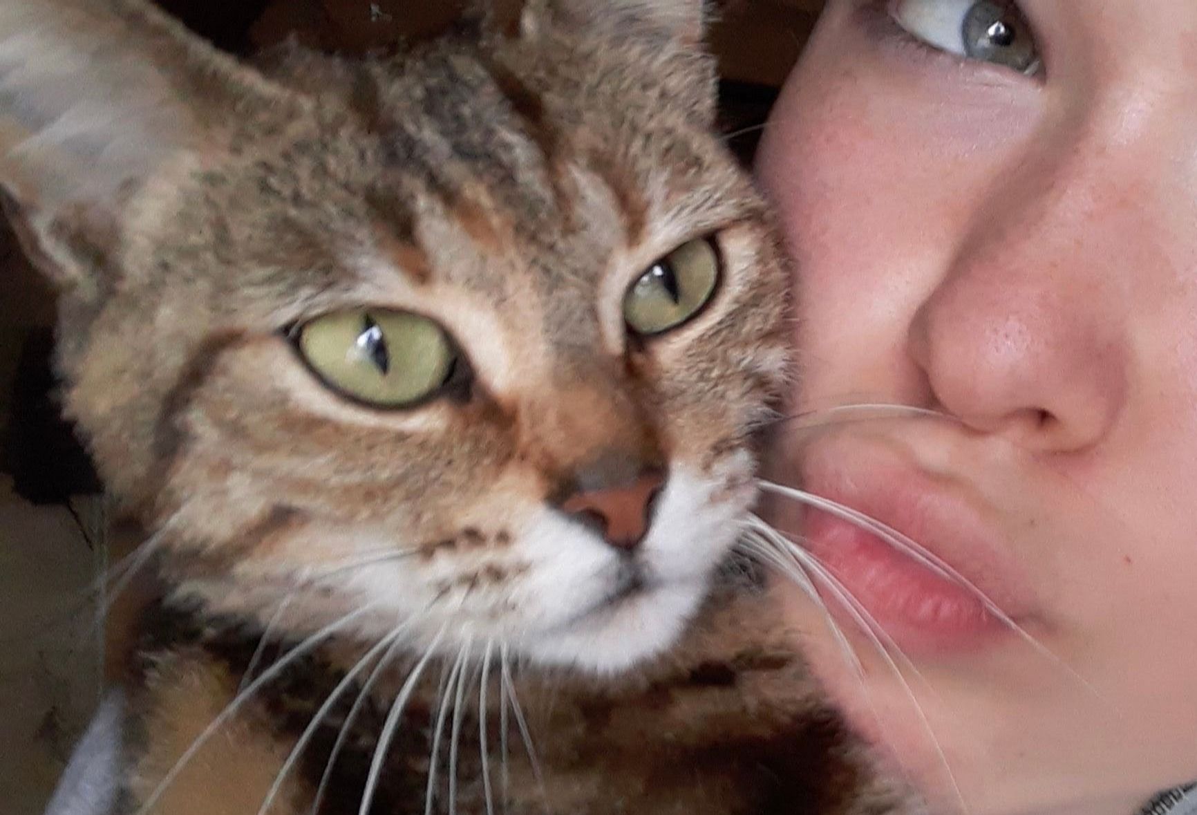 image-5