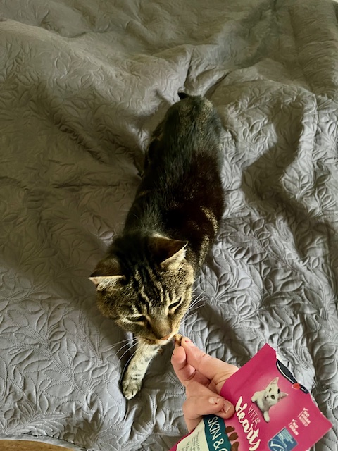image-12