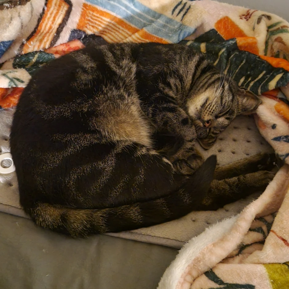 Kiki
