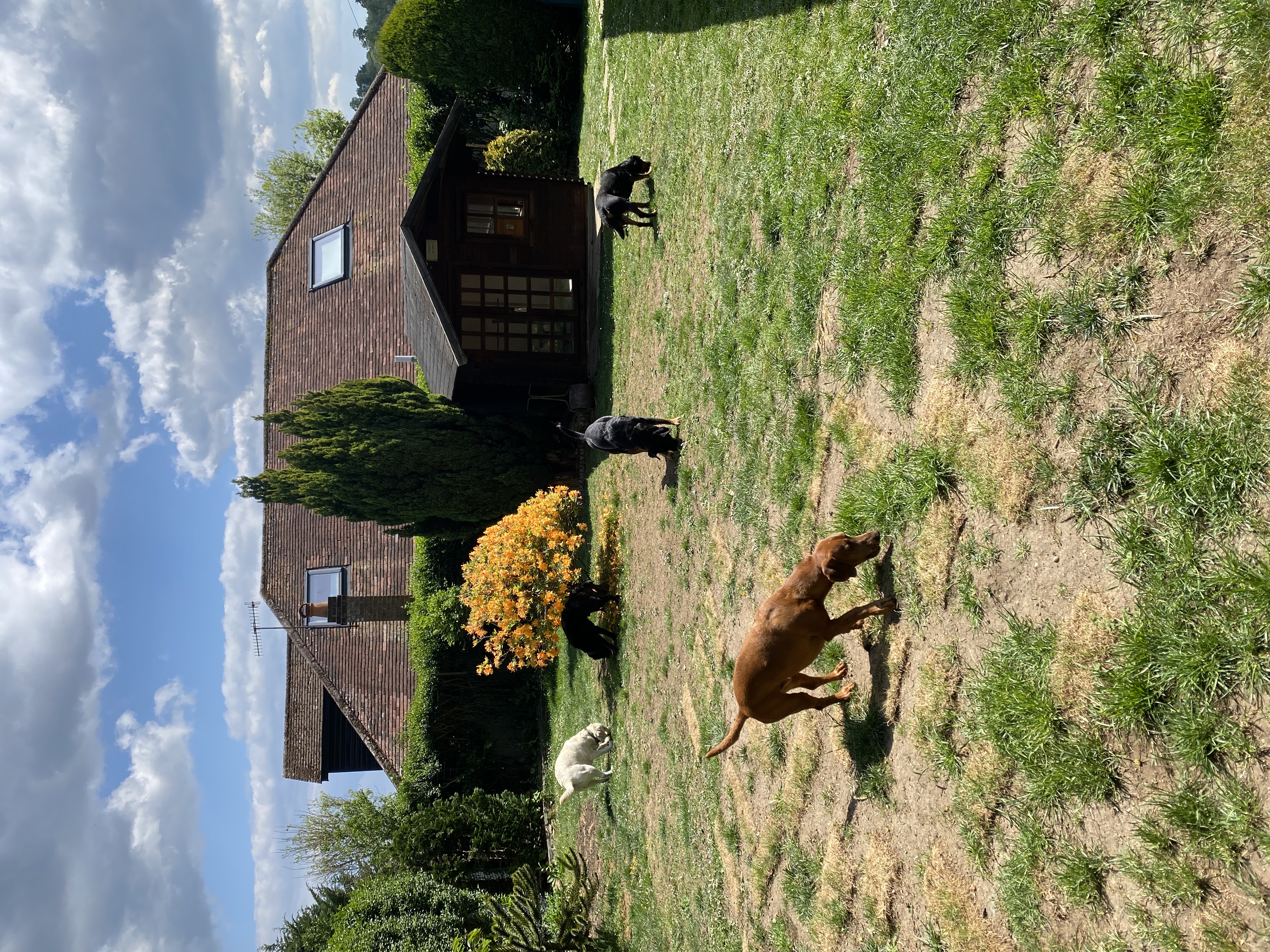 image-16
