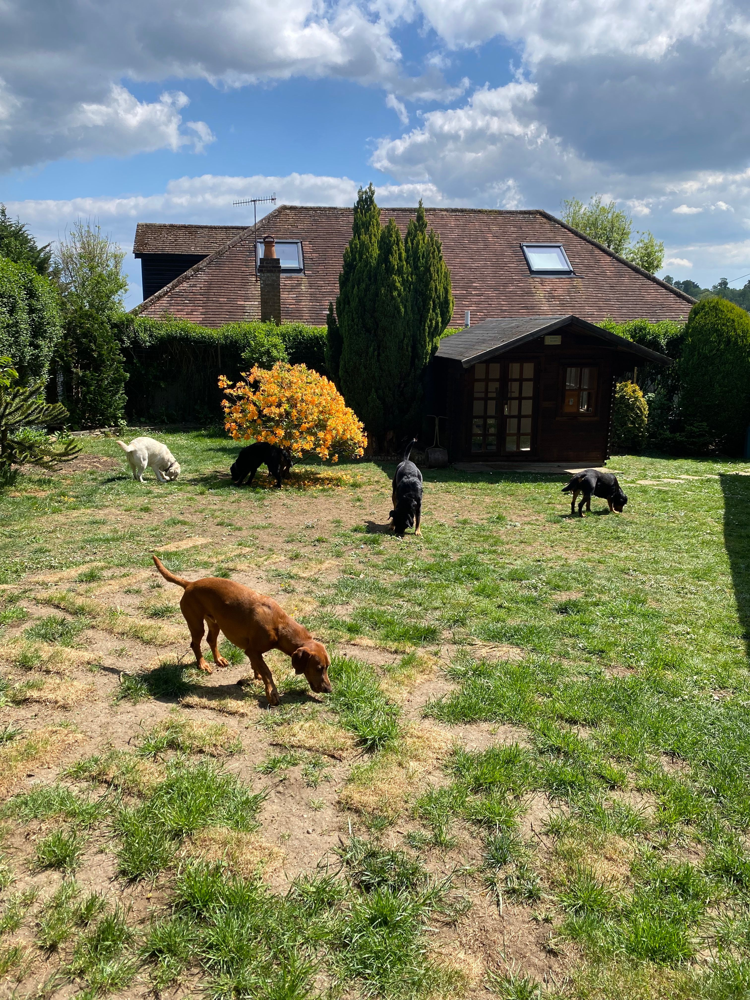 image-16