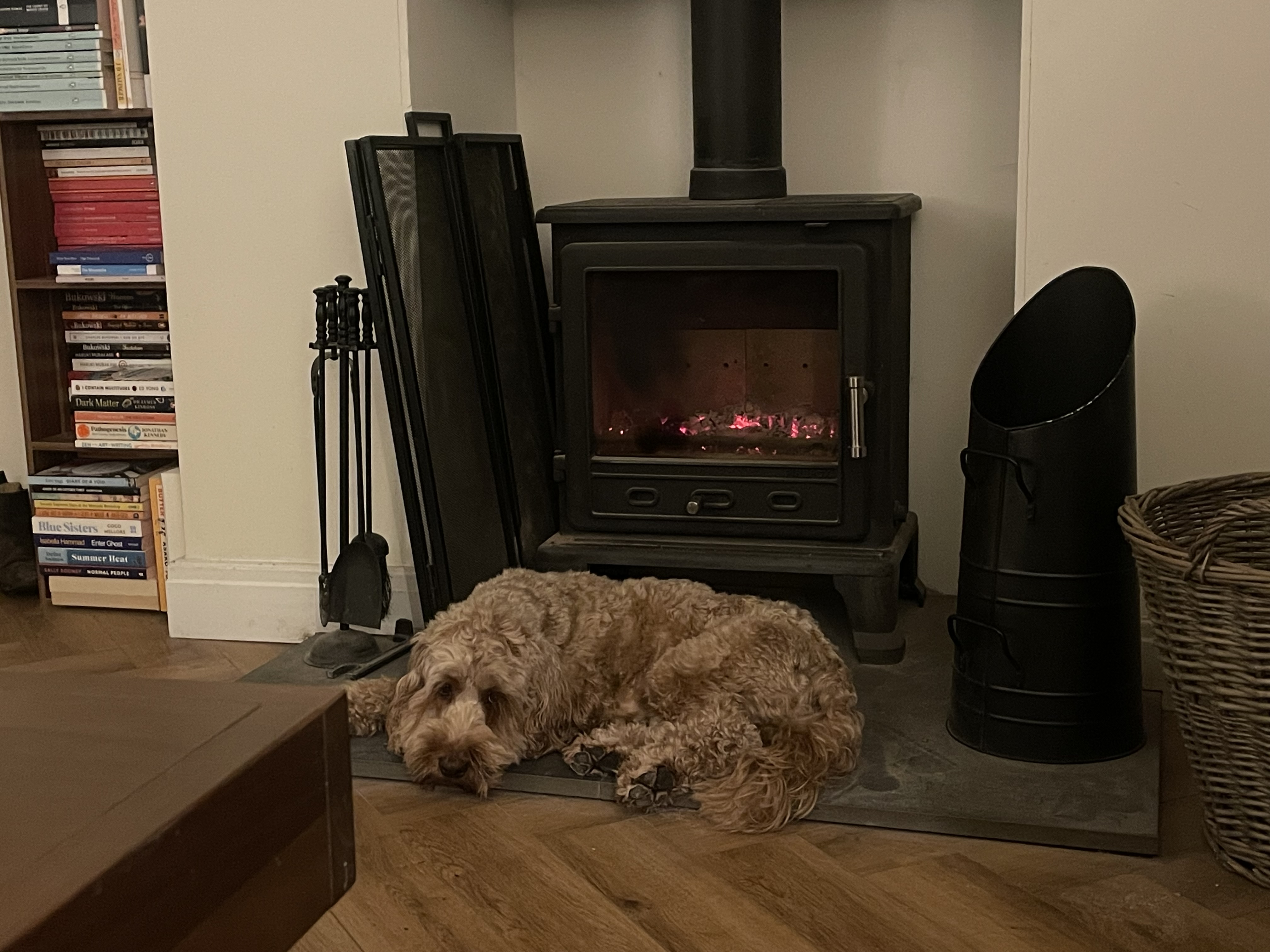 image-14