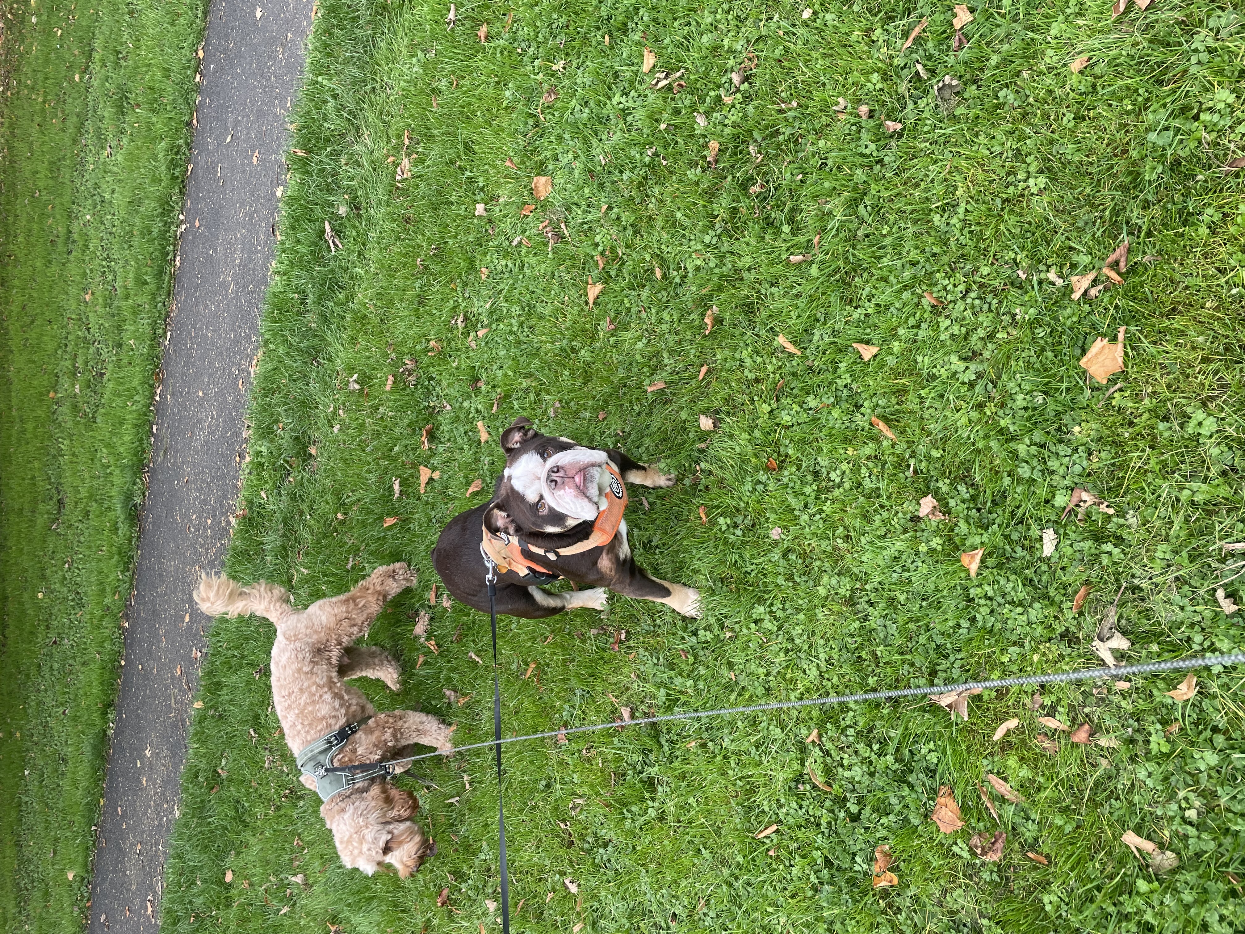 image-9