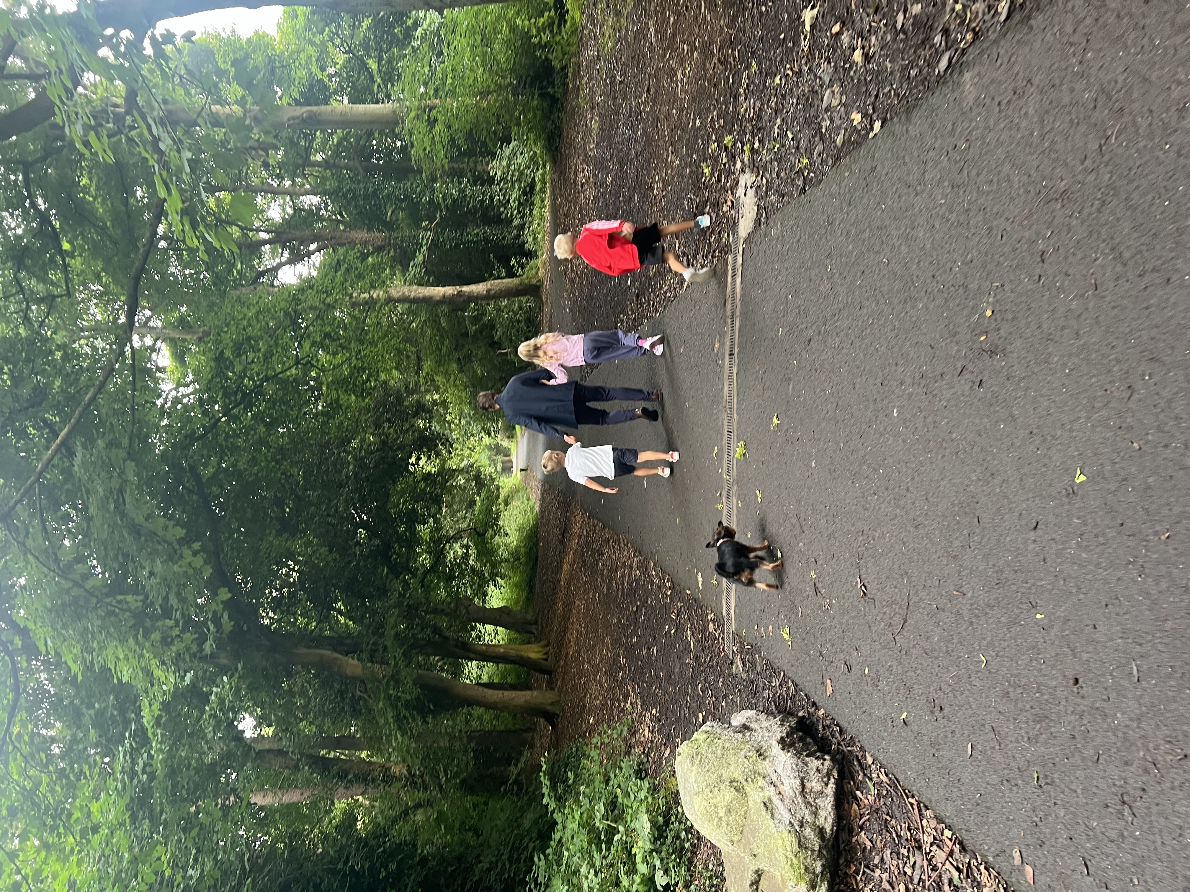 image-3