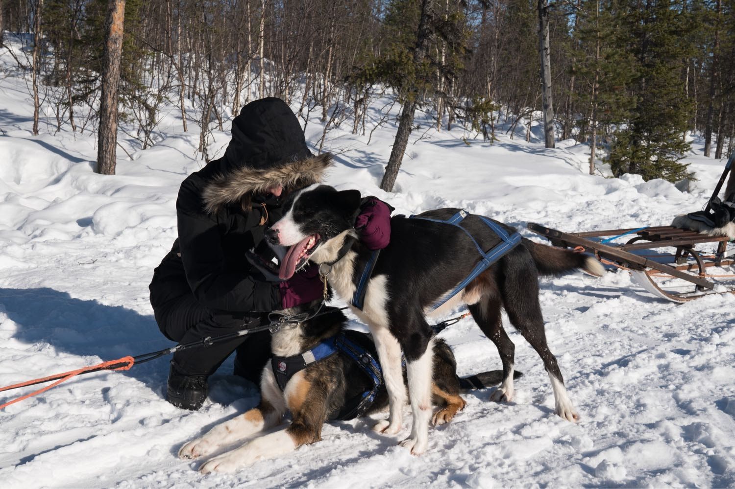 image-5