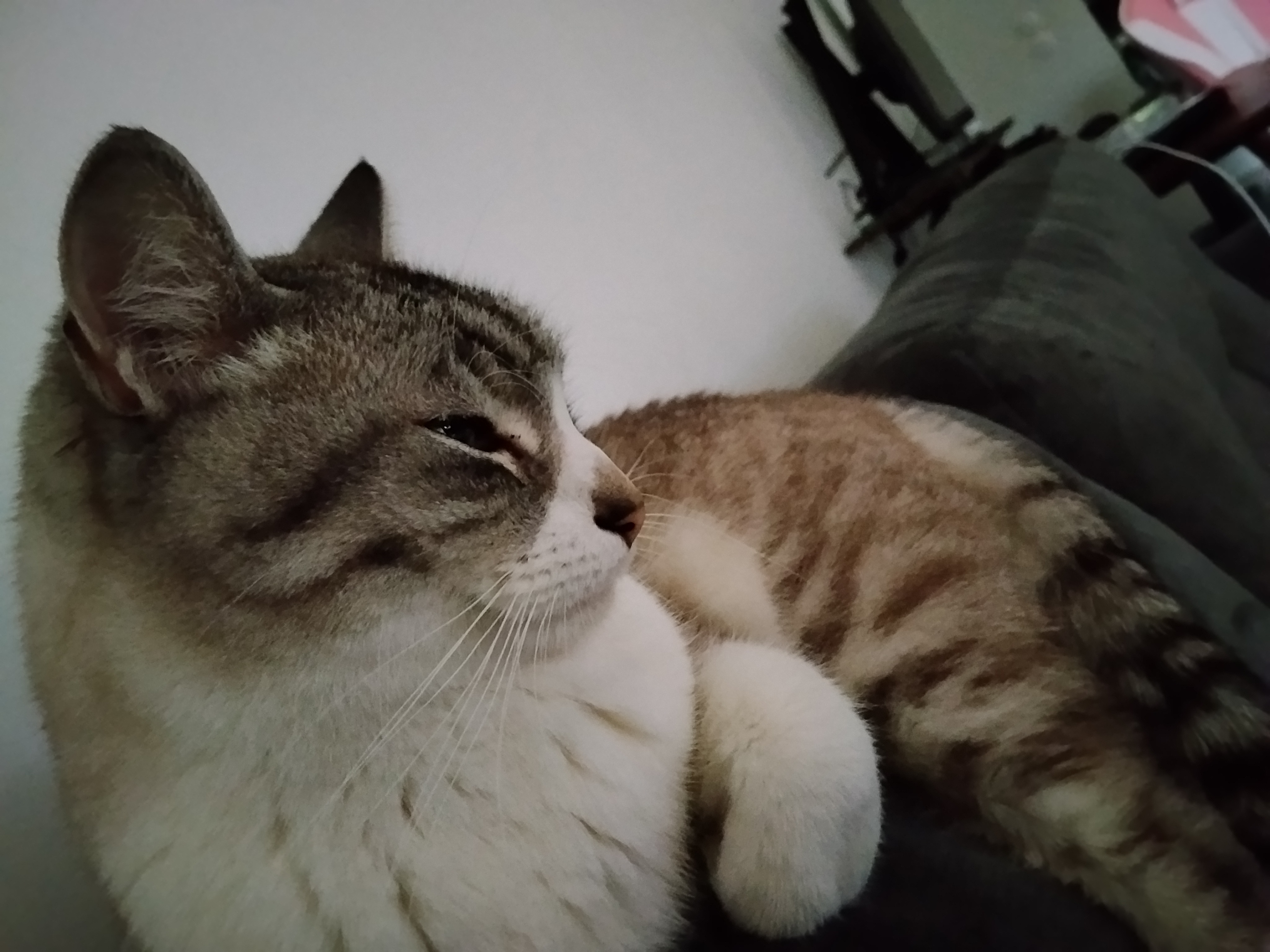 image-8