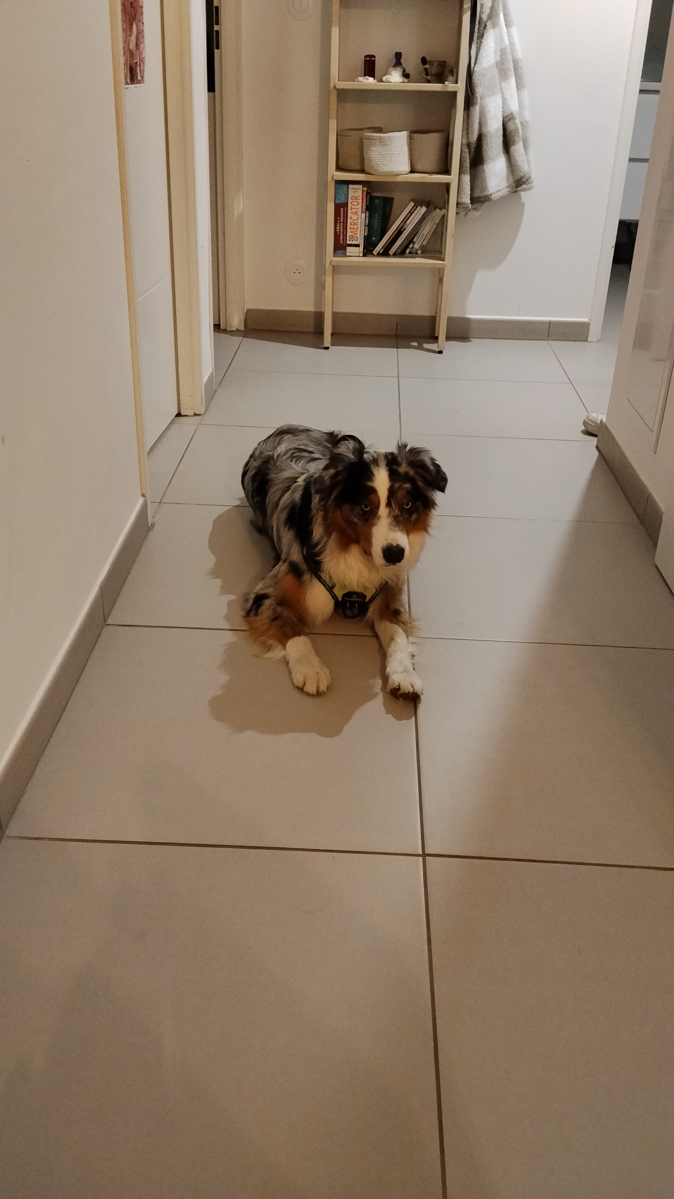 image-12