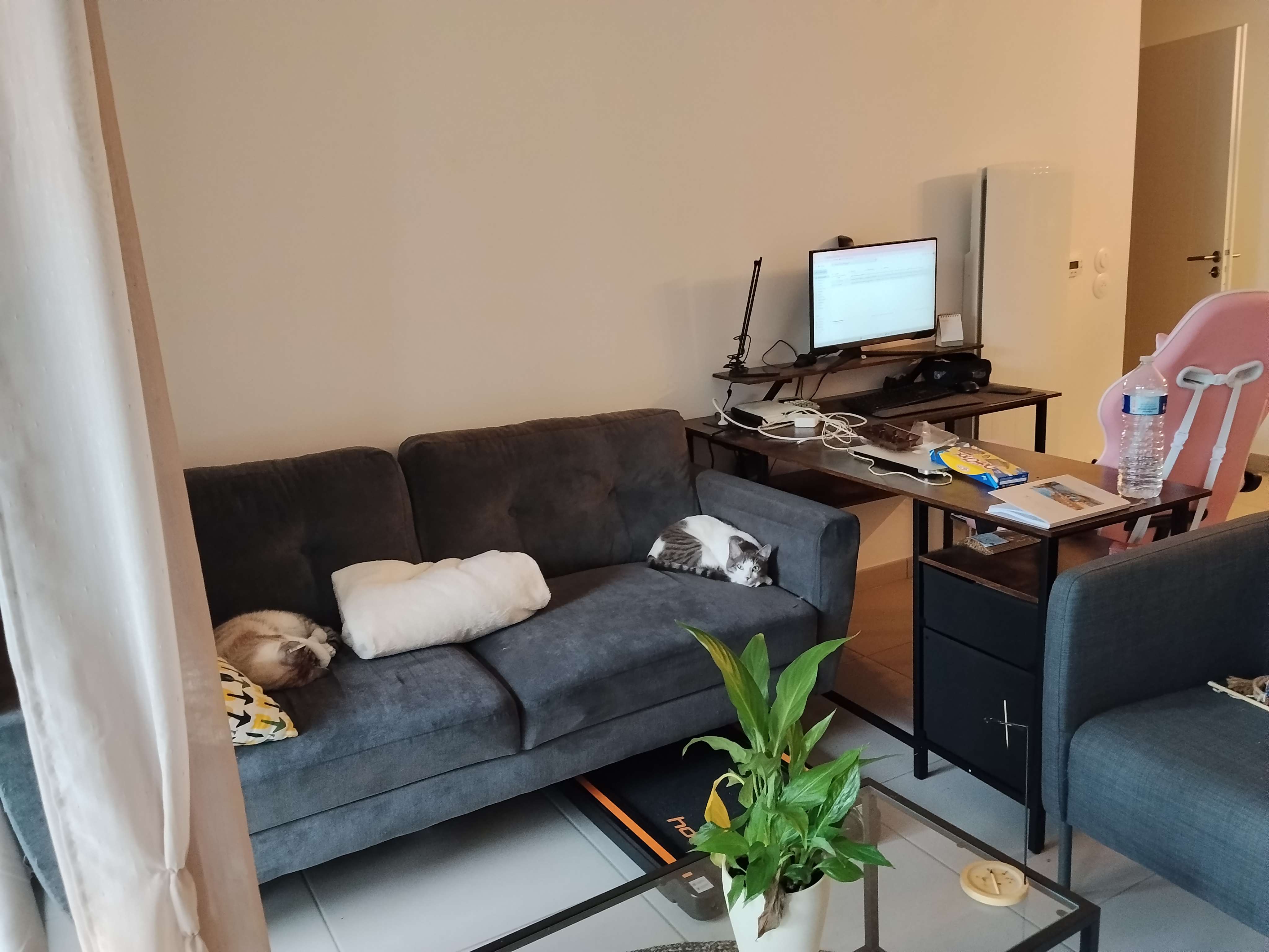 image-15