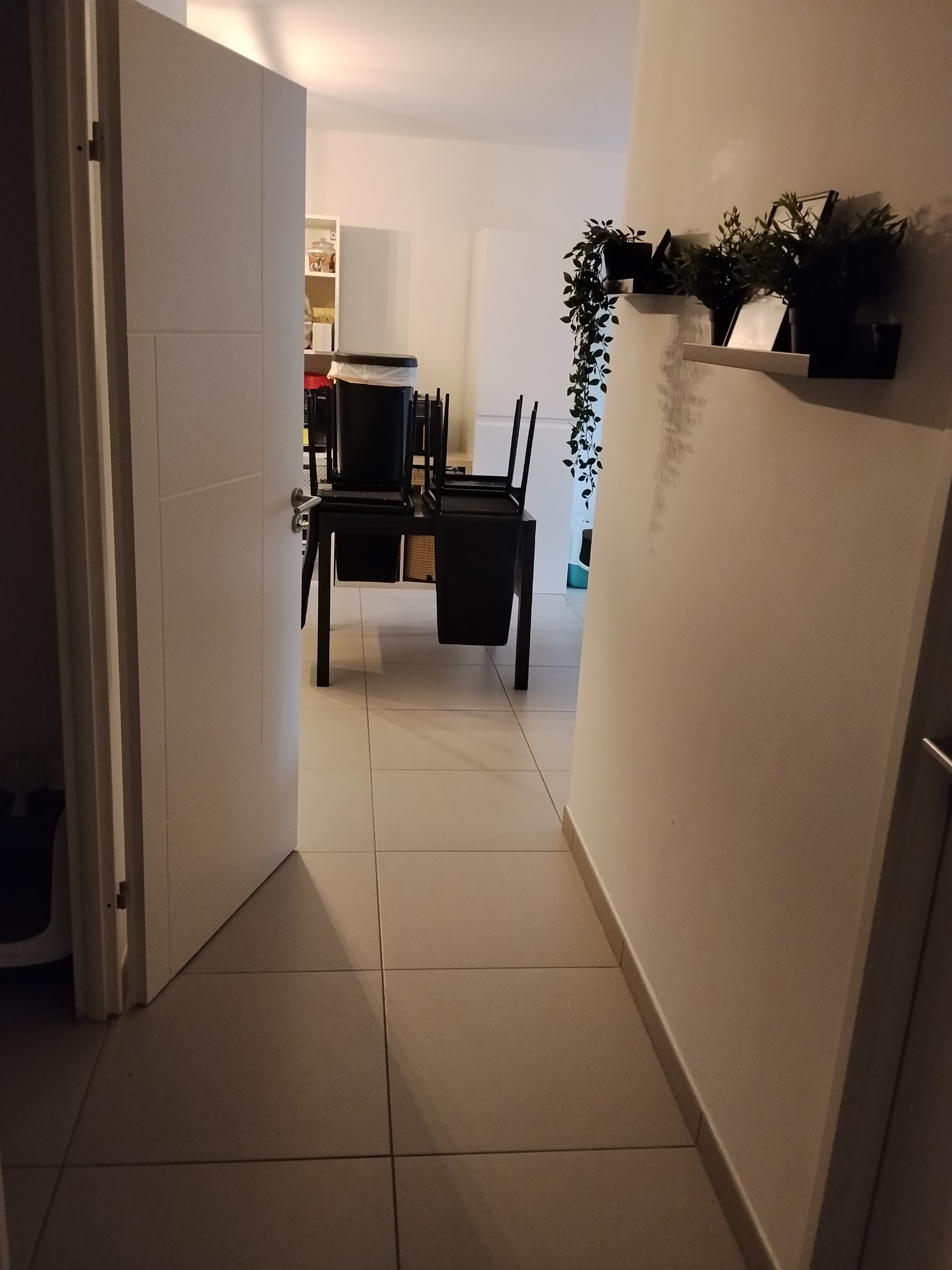 image-19