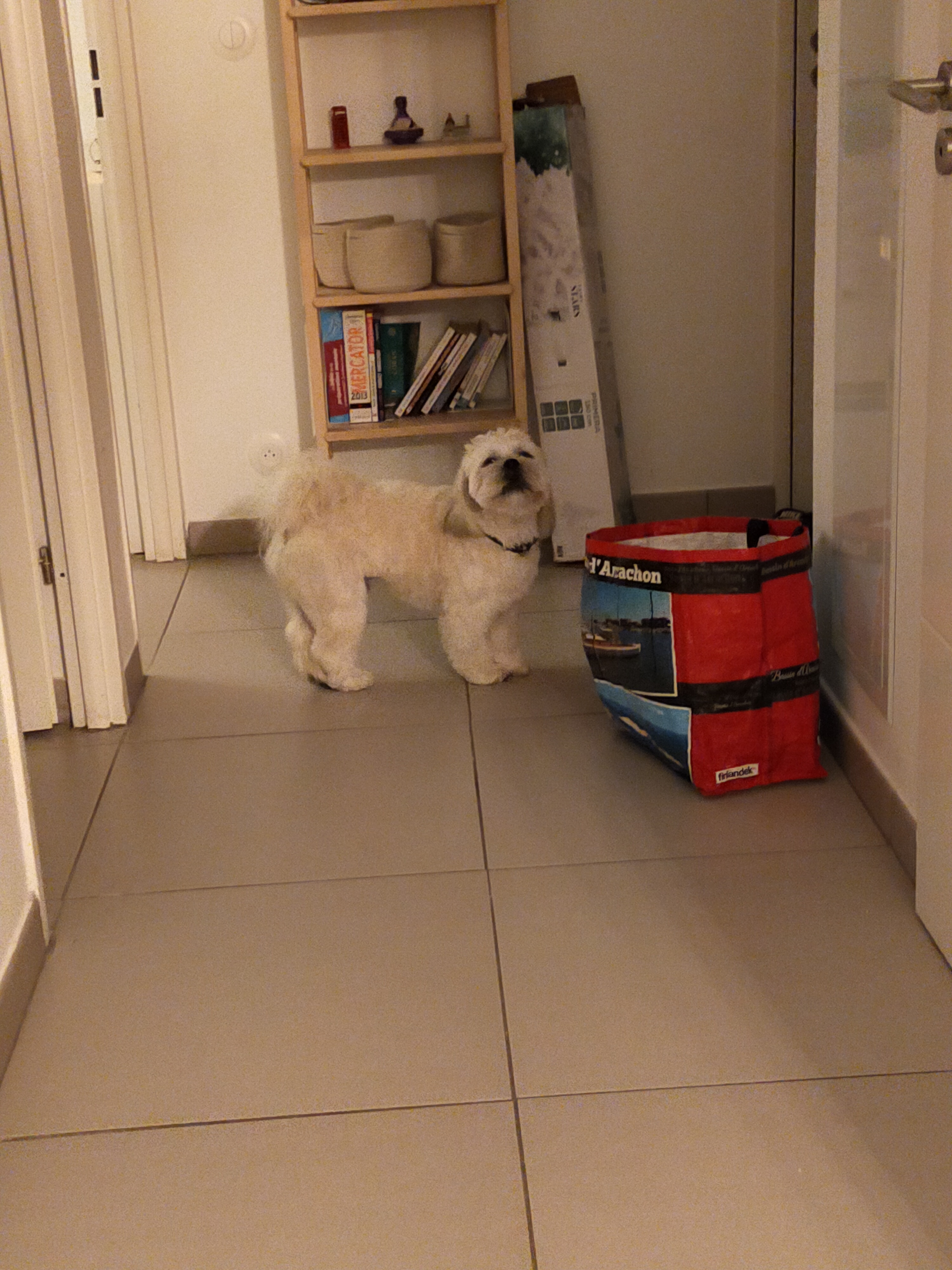image-7