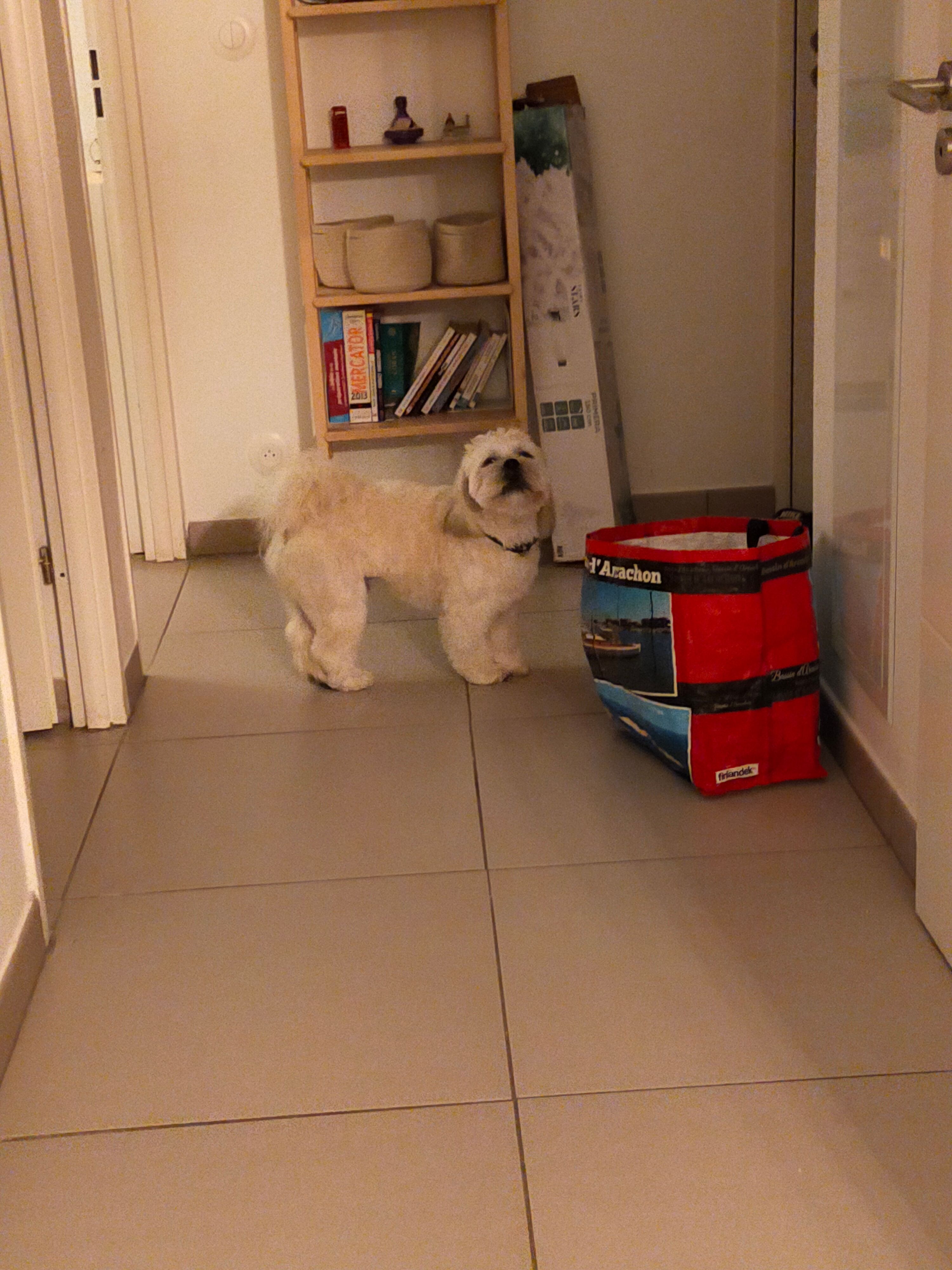 image-7