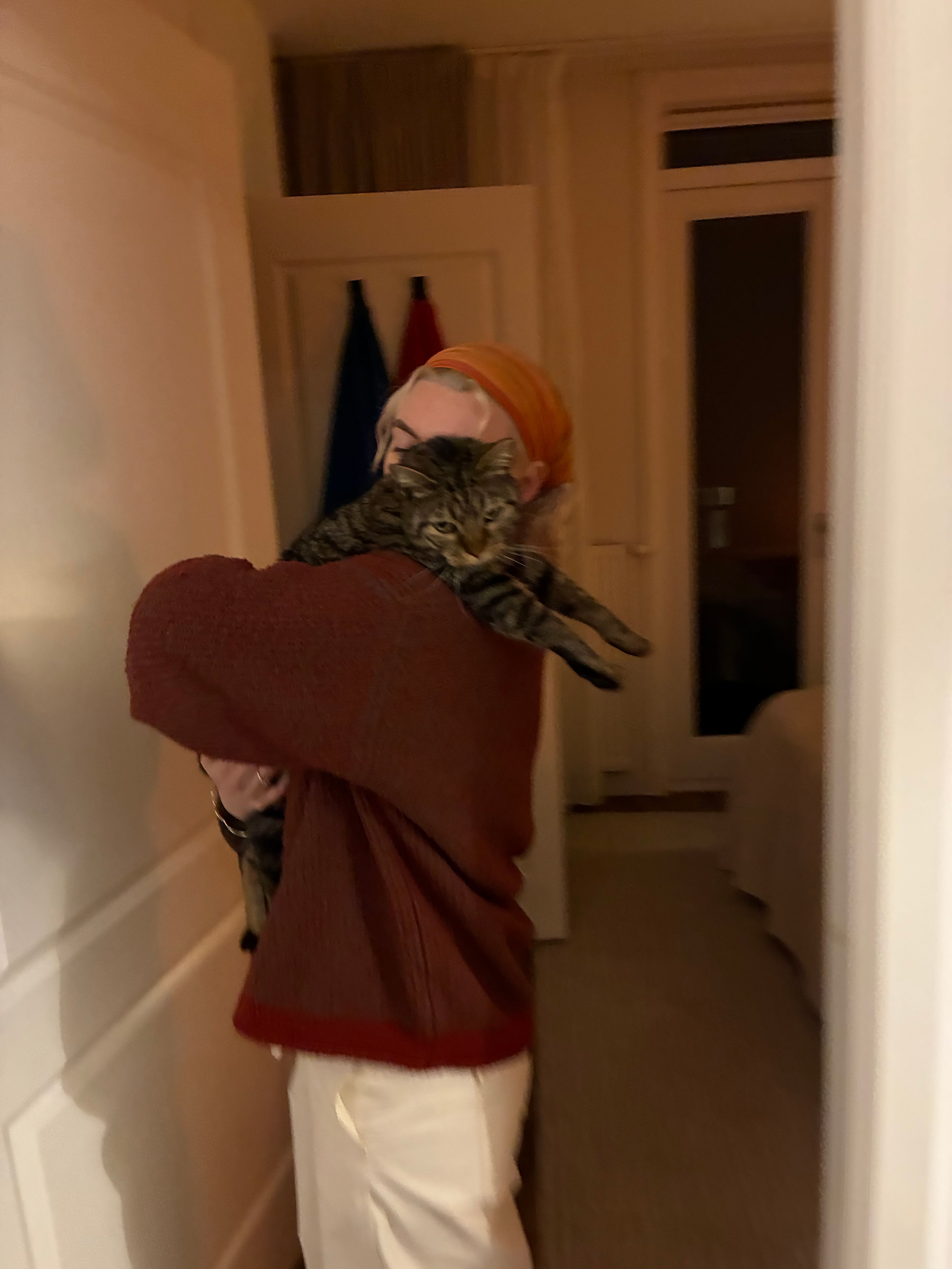 image-12