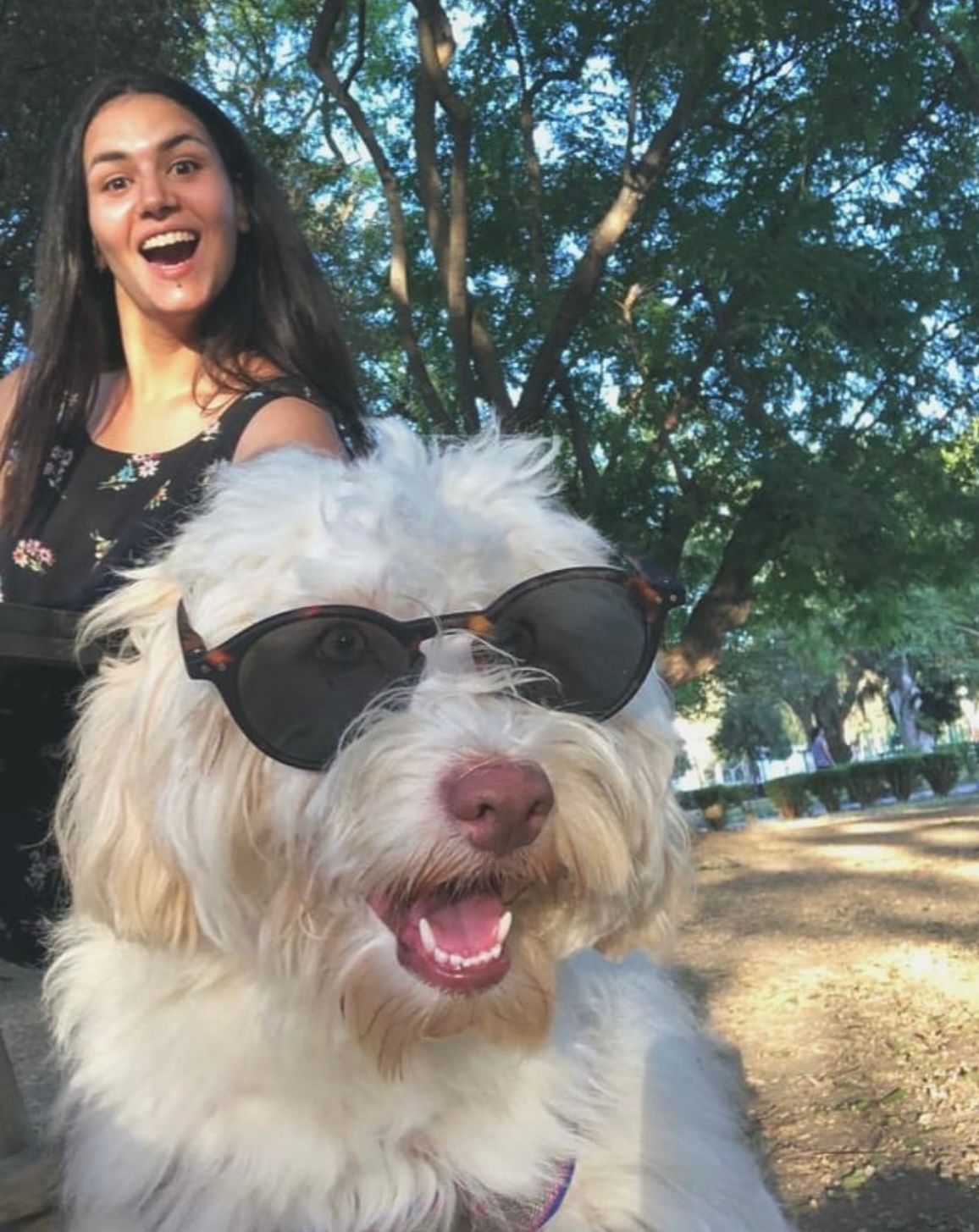 image-0