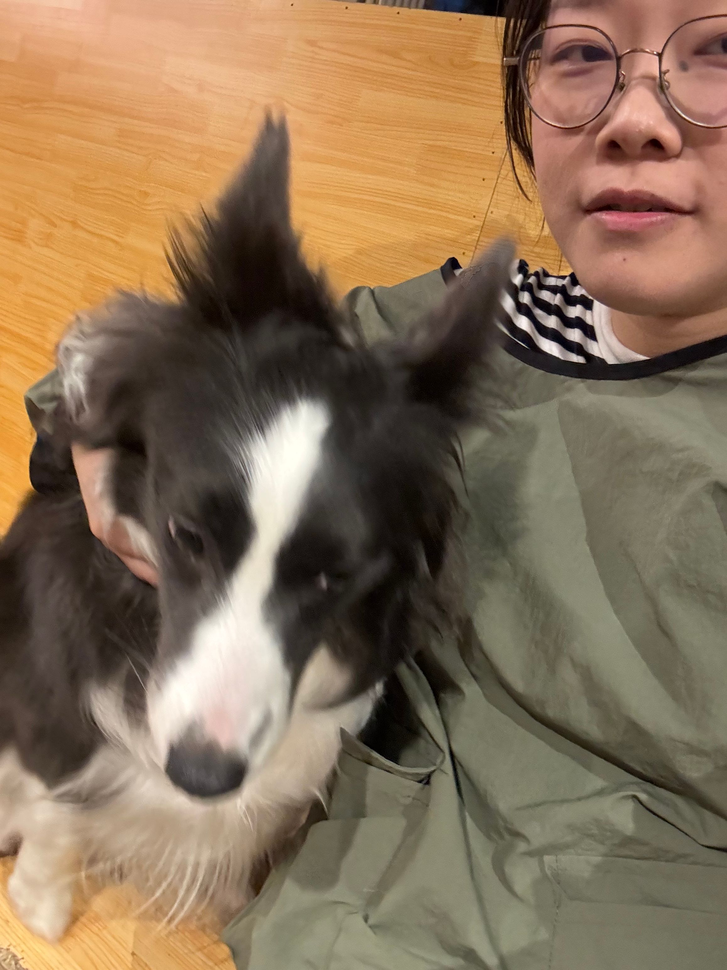 image-15