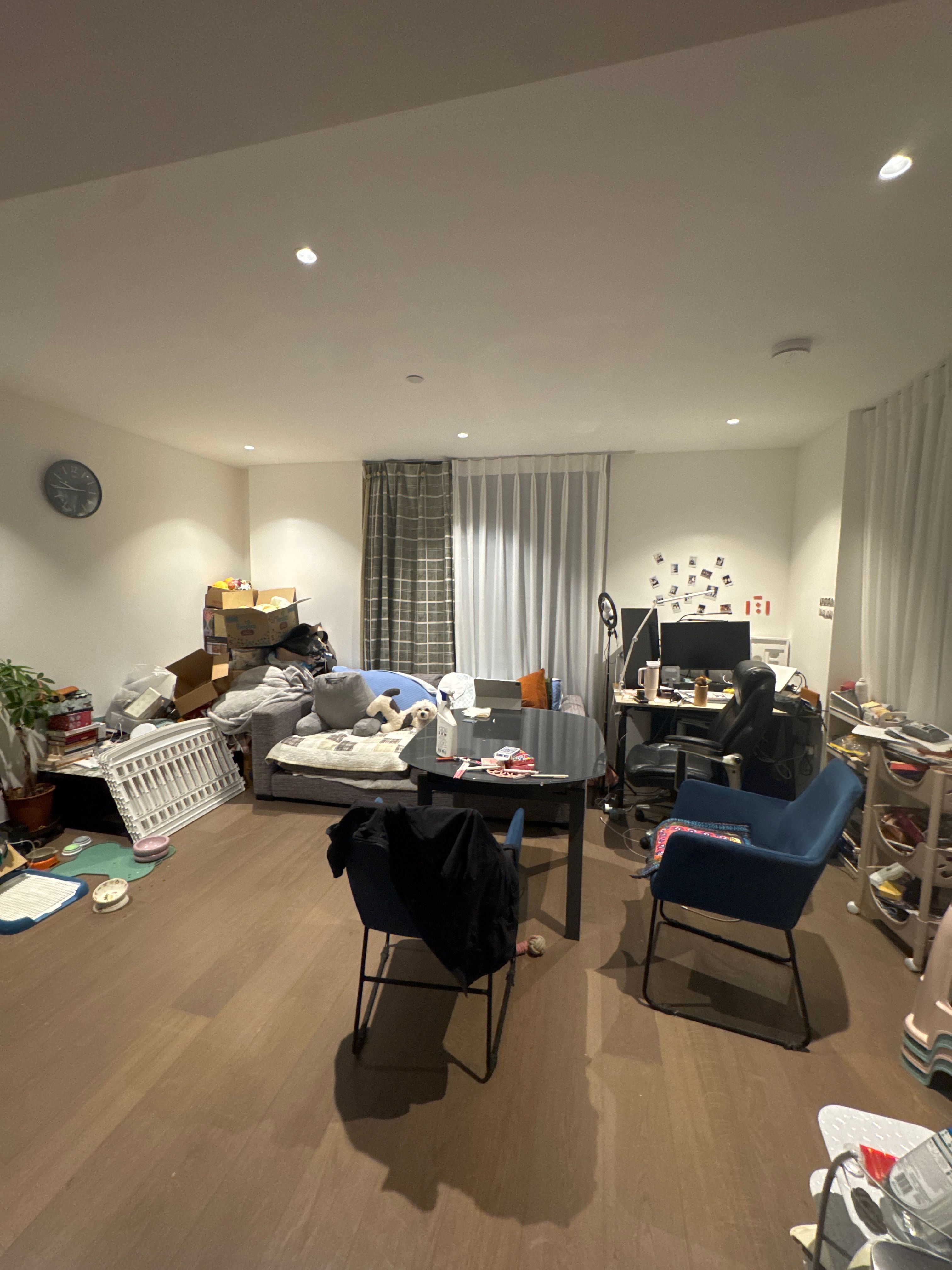 image-19