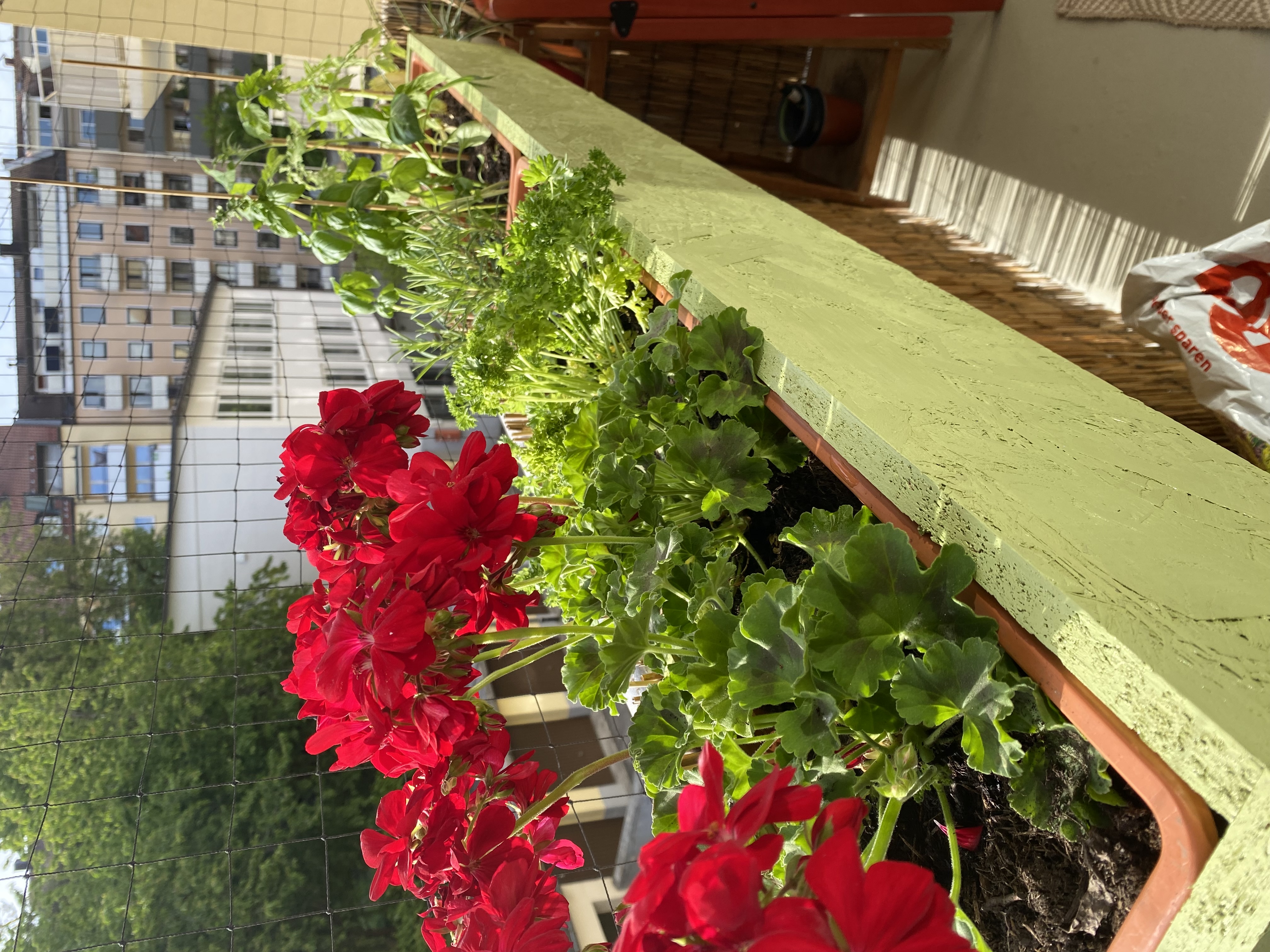 image-17