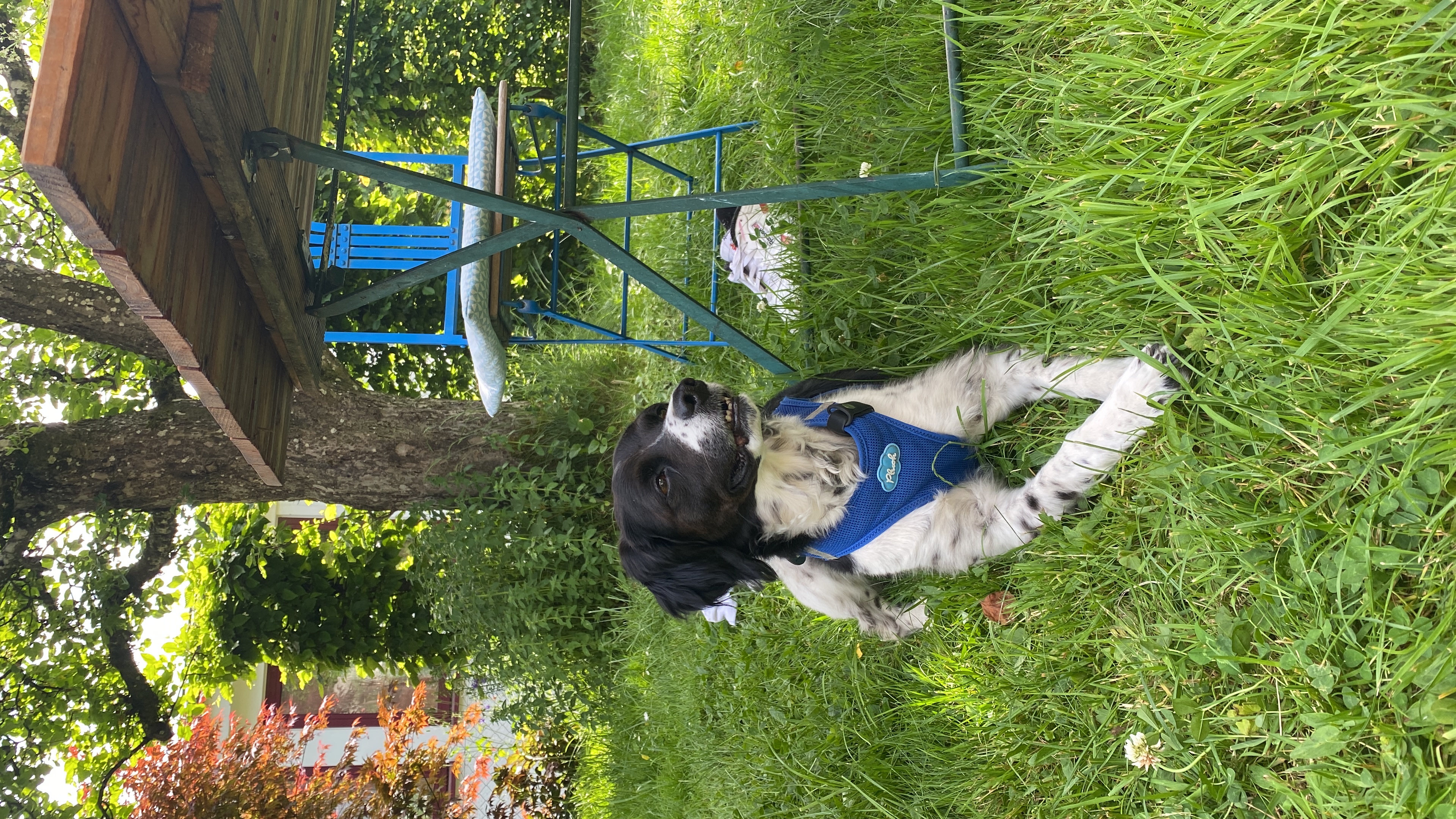 image-16
