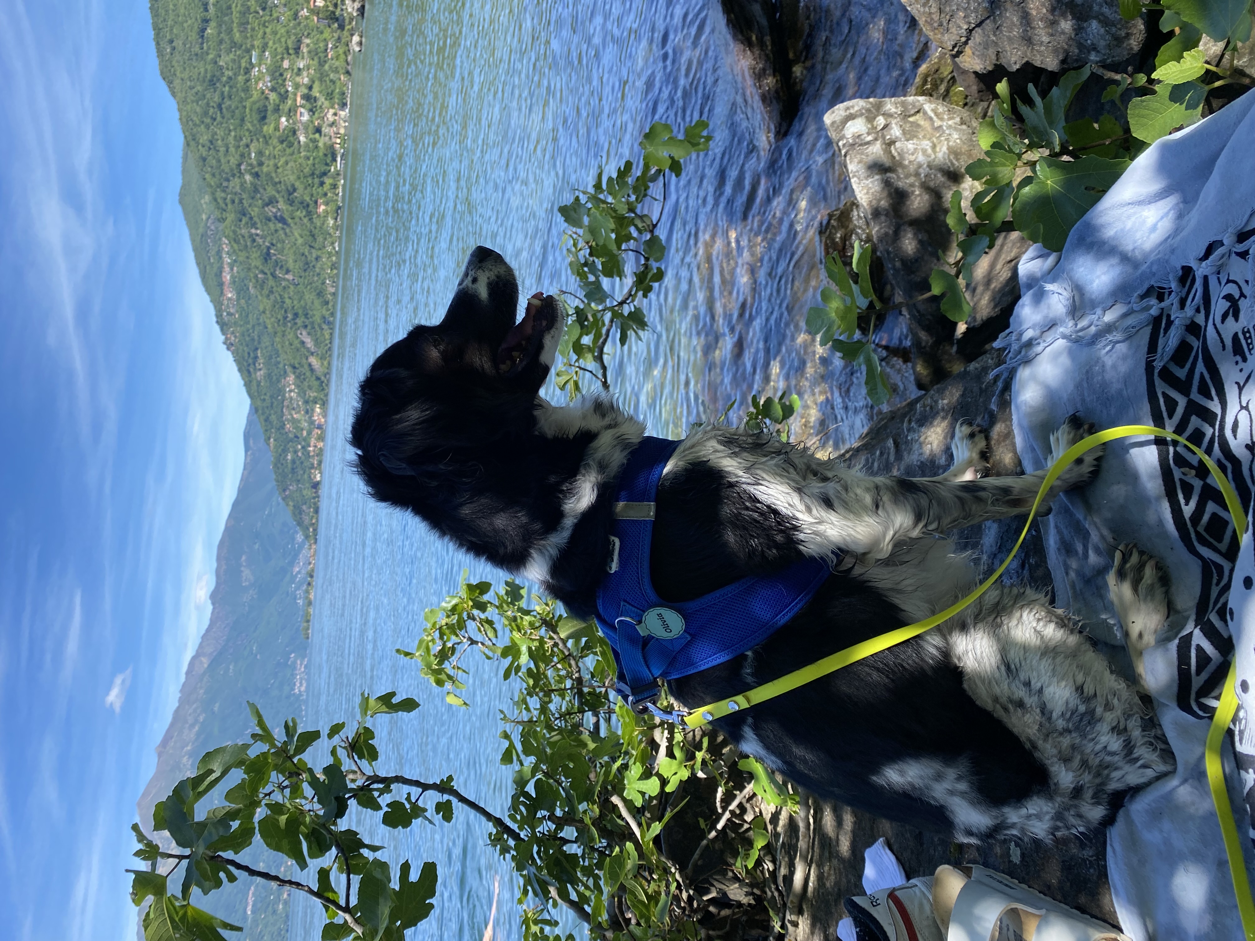 image-8