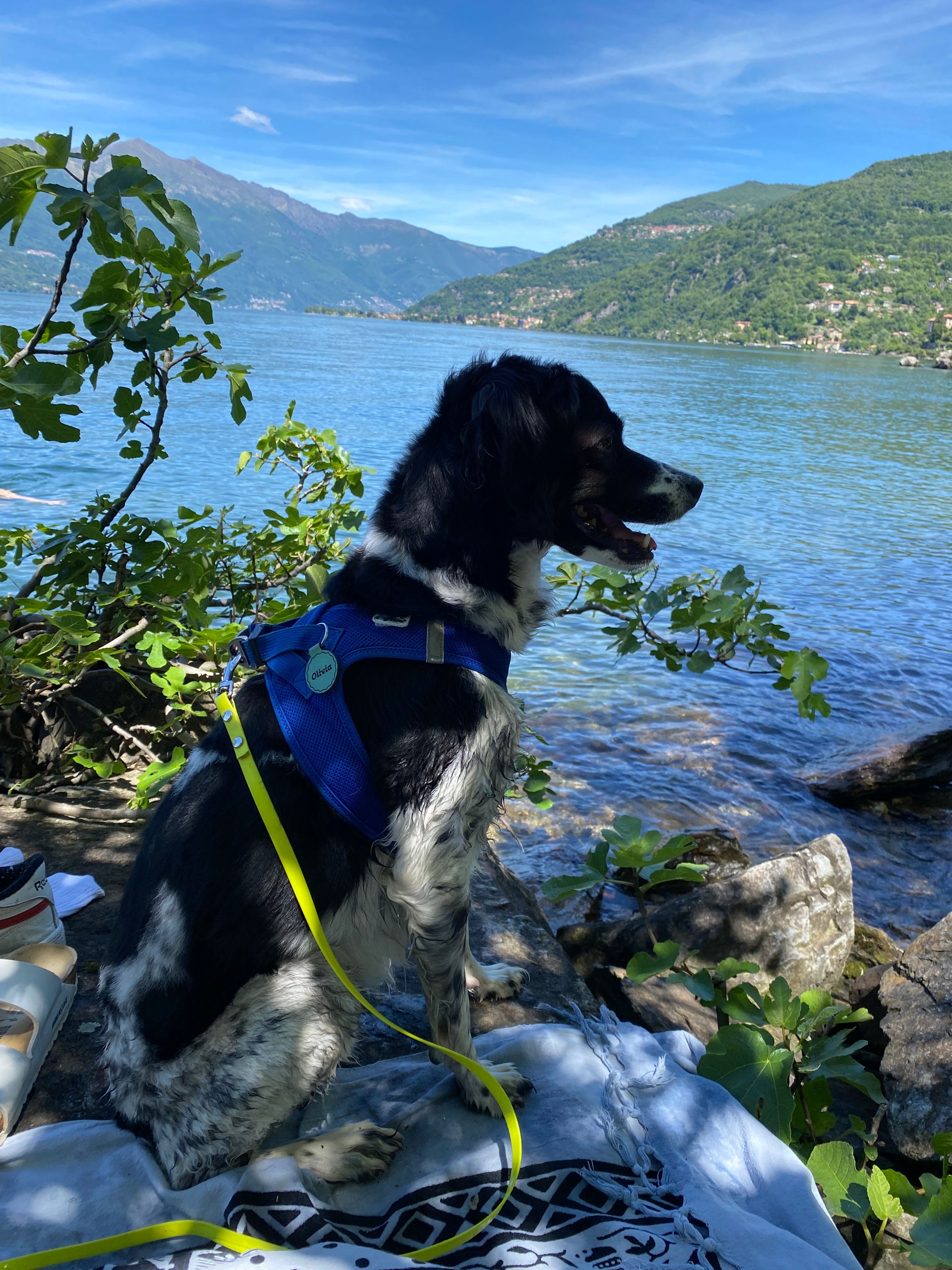image-8