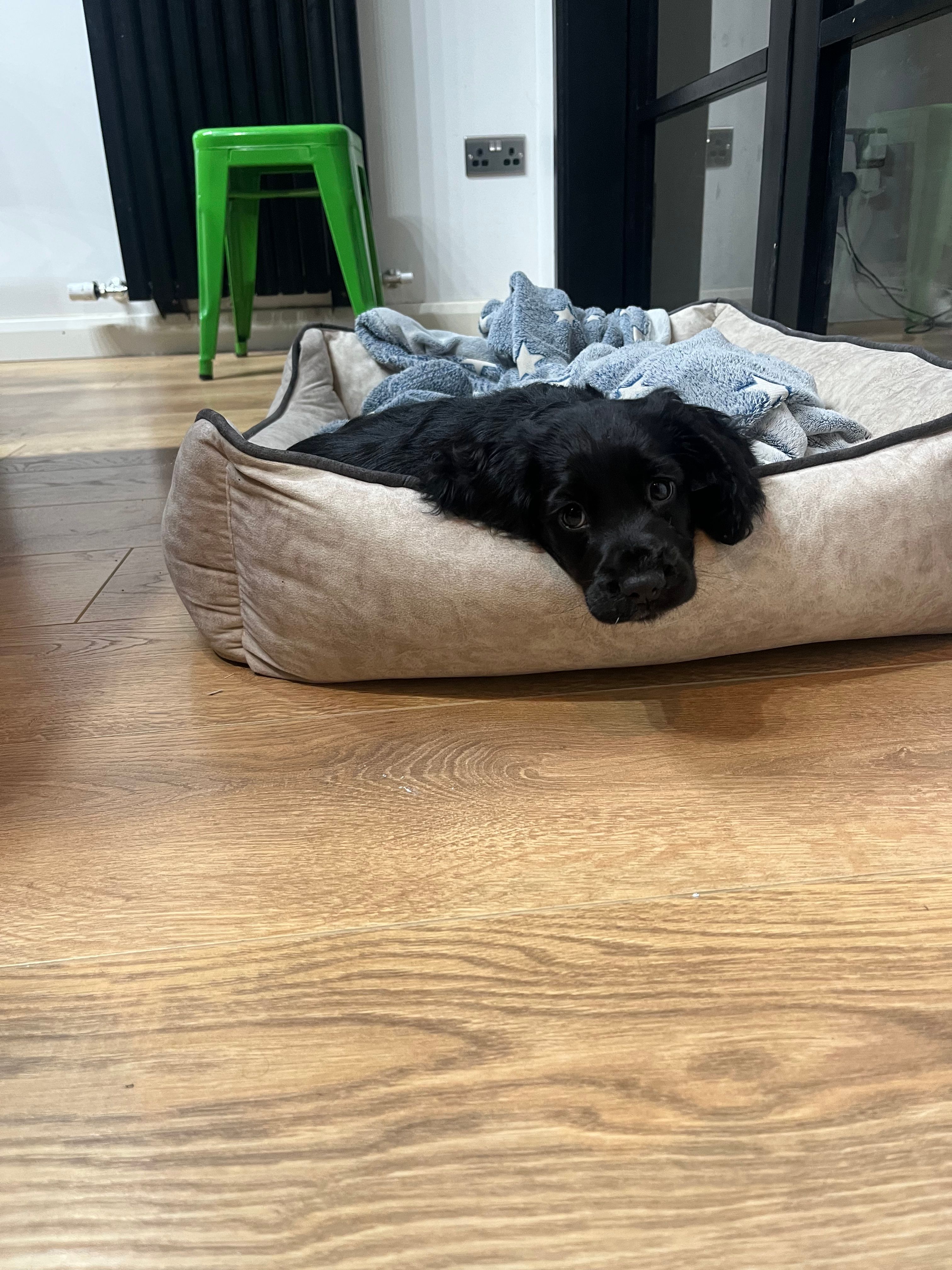 image-8