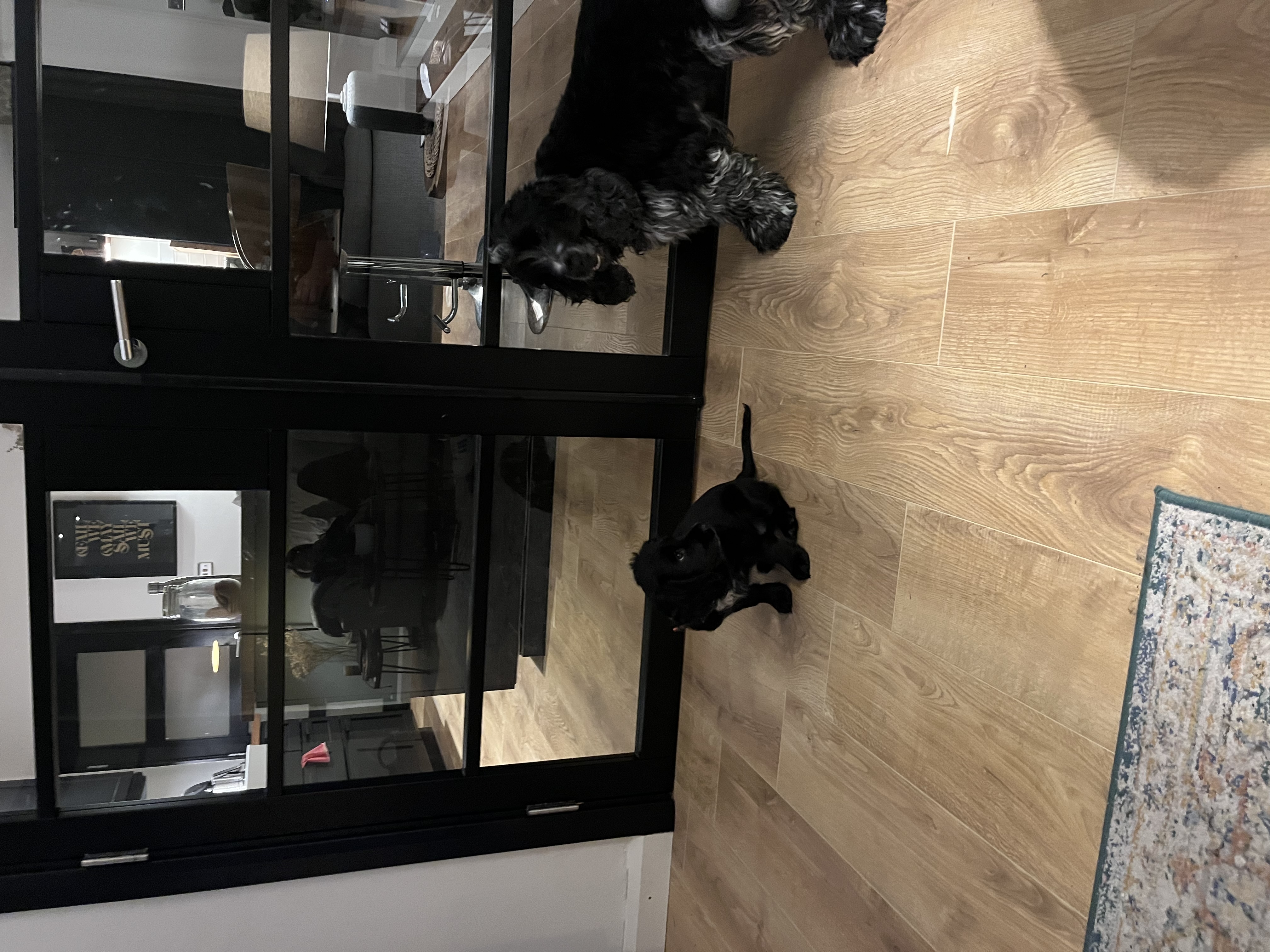 image-7
