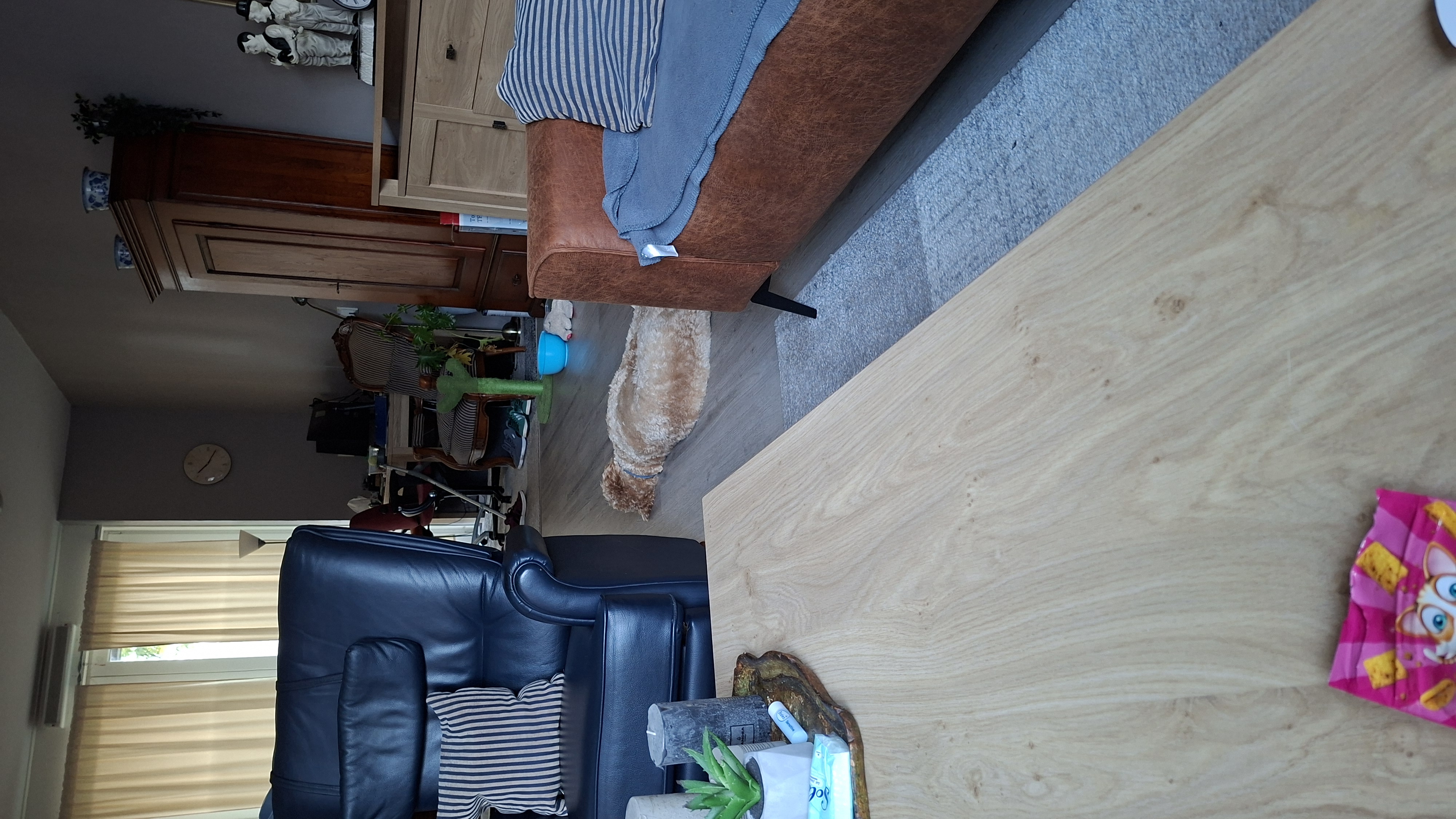 image-16