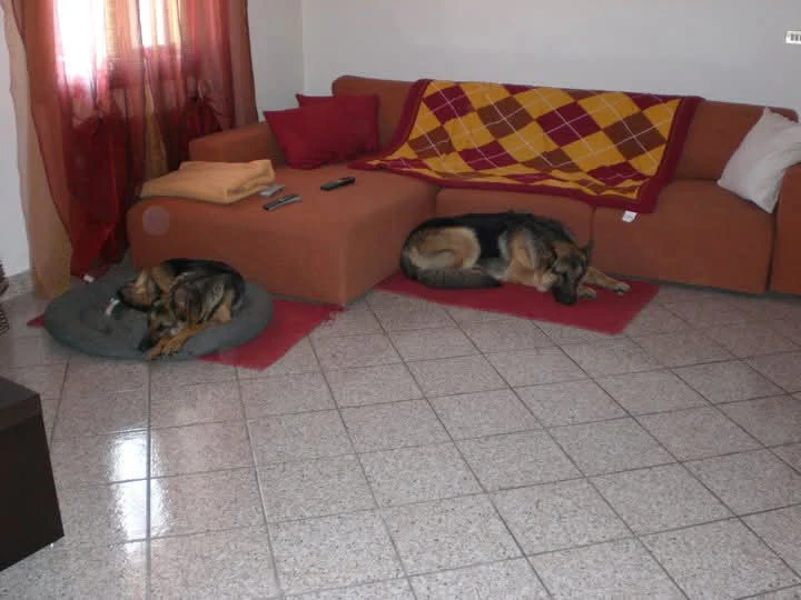 image-20