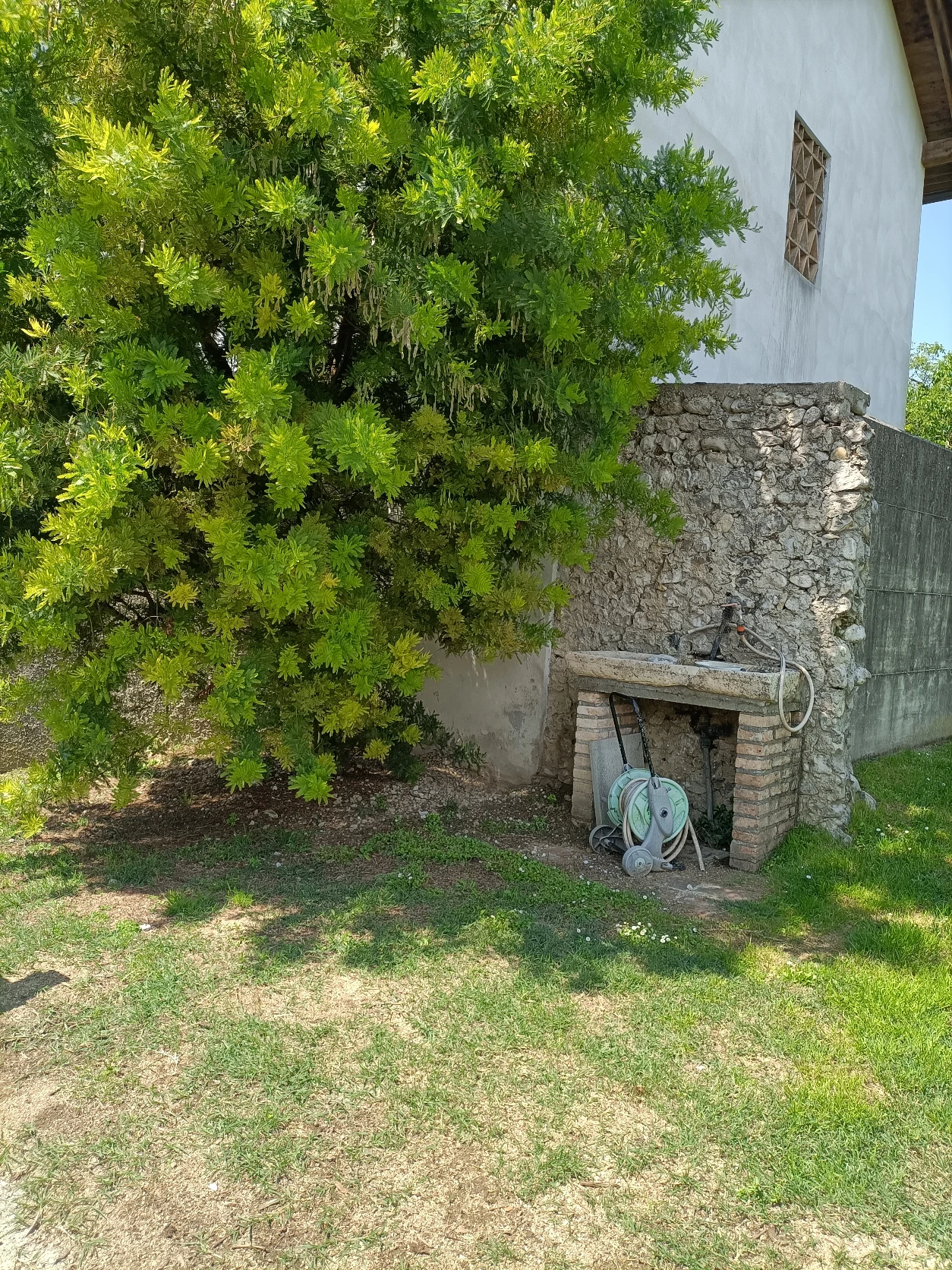 image-18